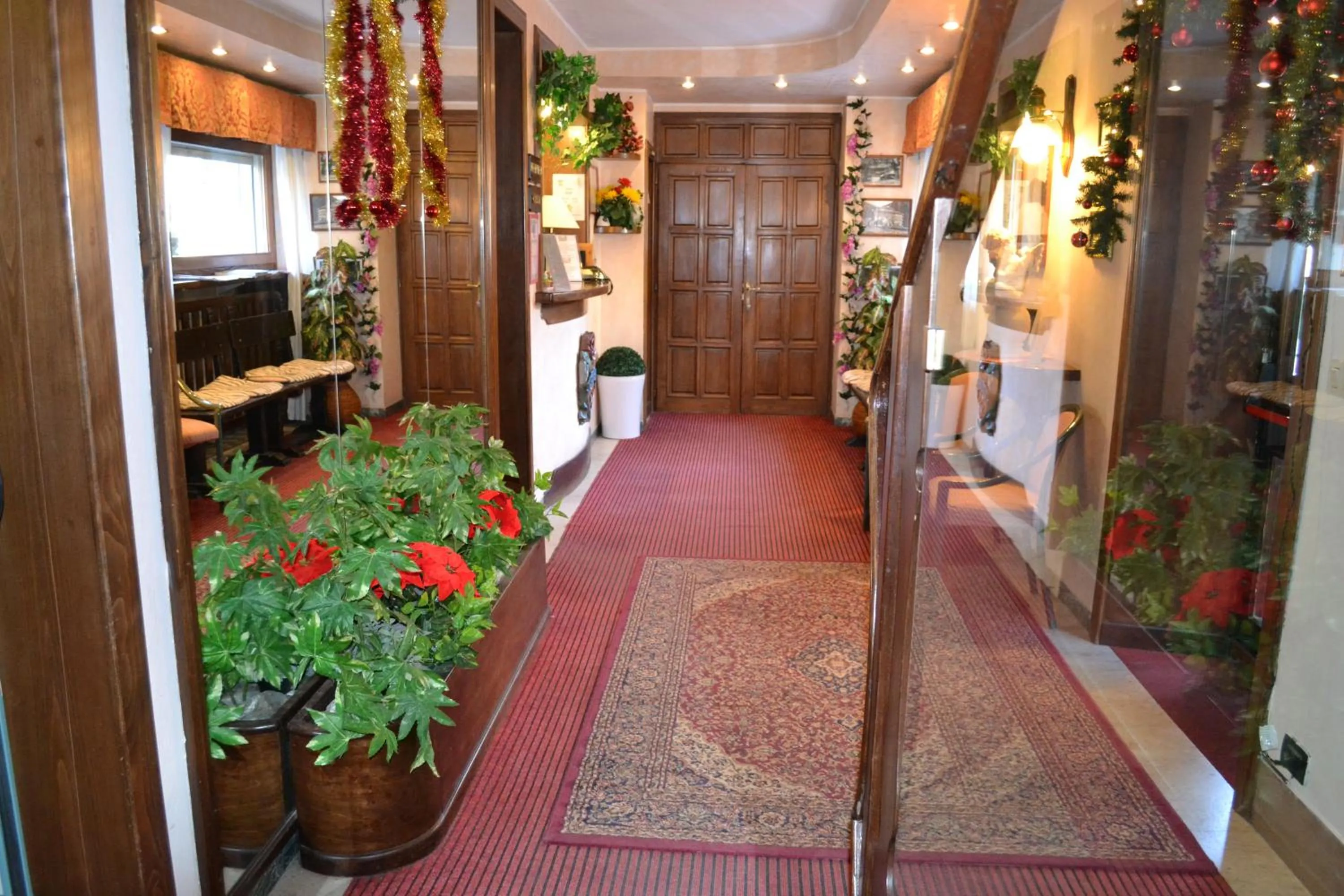 Area and facilities in Hotel Rosa Serenella