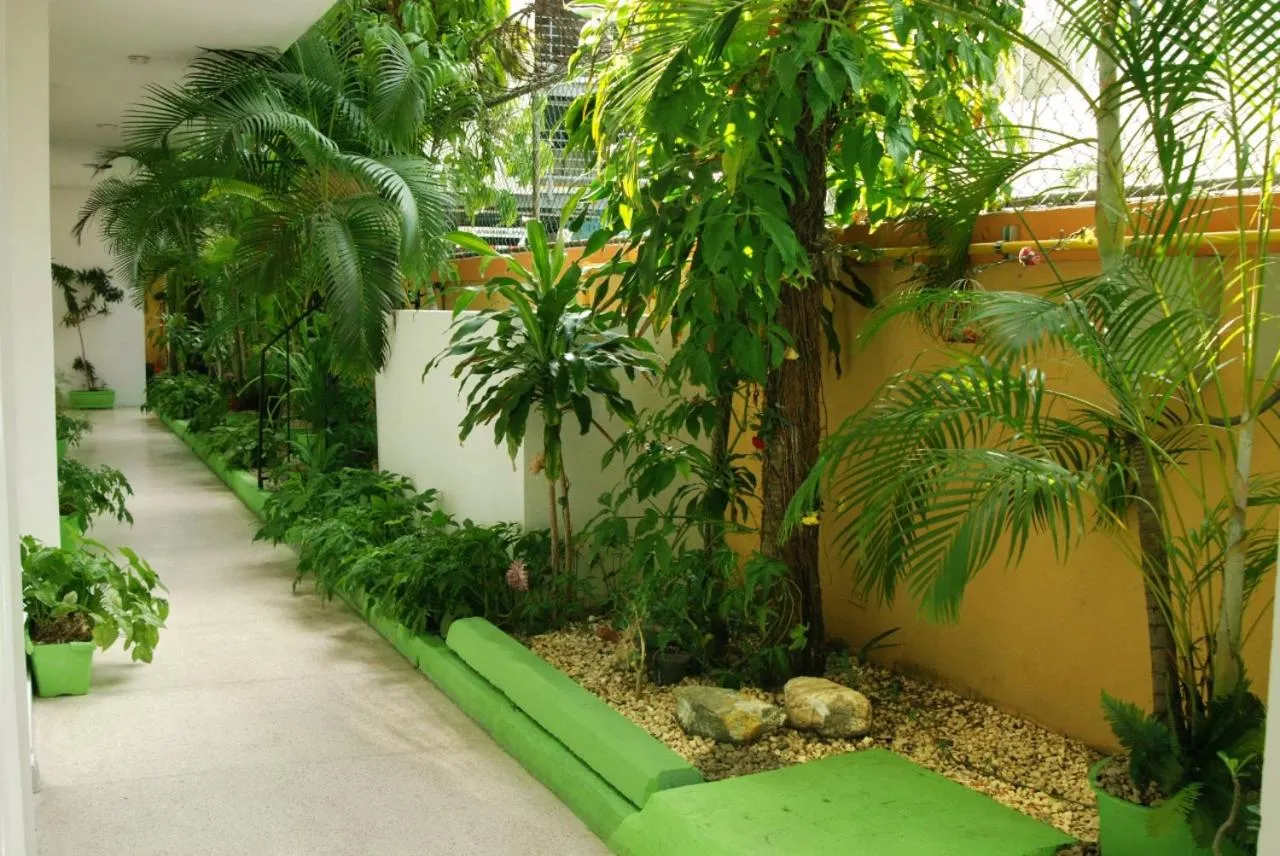 Garden in Royal Palace Hotel