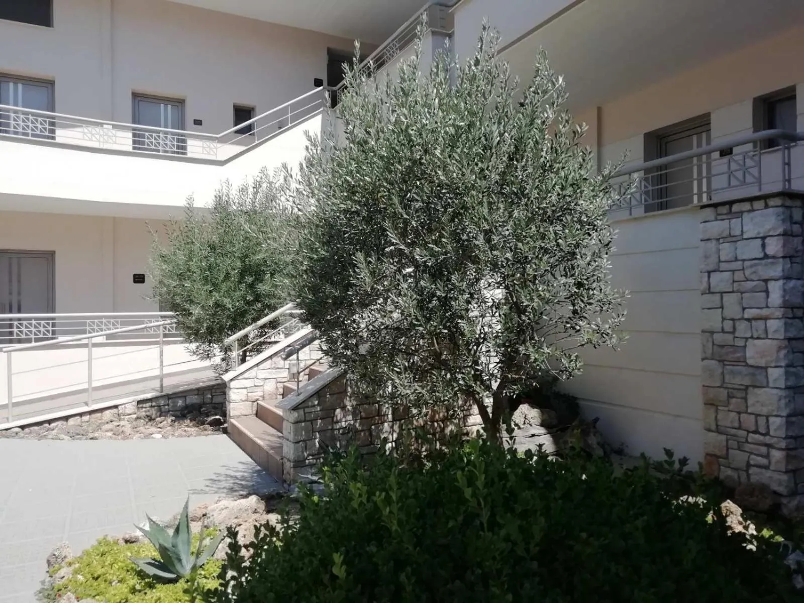 Garden in Alexander Inn