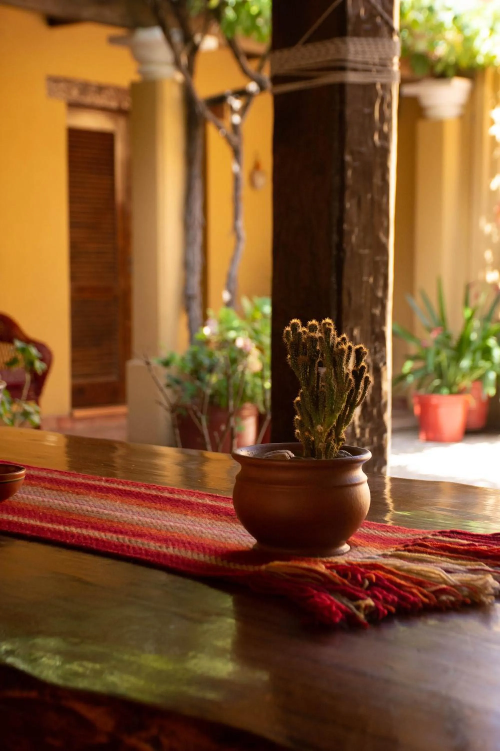 Day in Villa Vicuña Cafayate Boutique Hotel