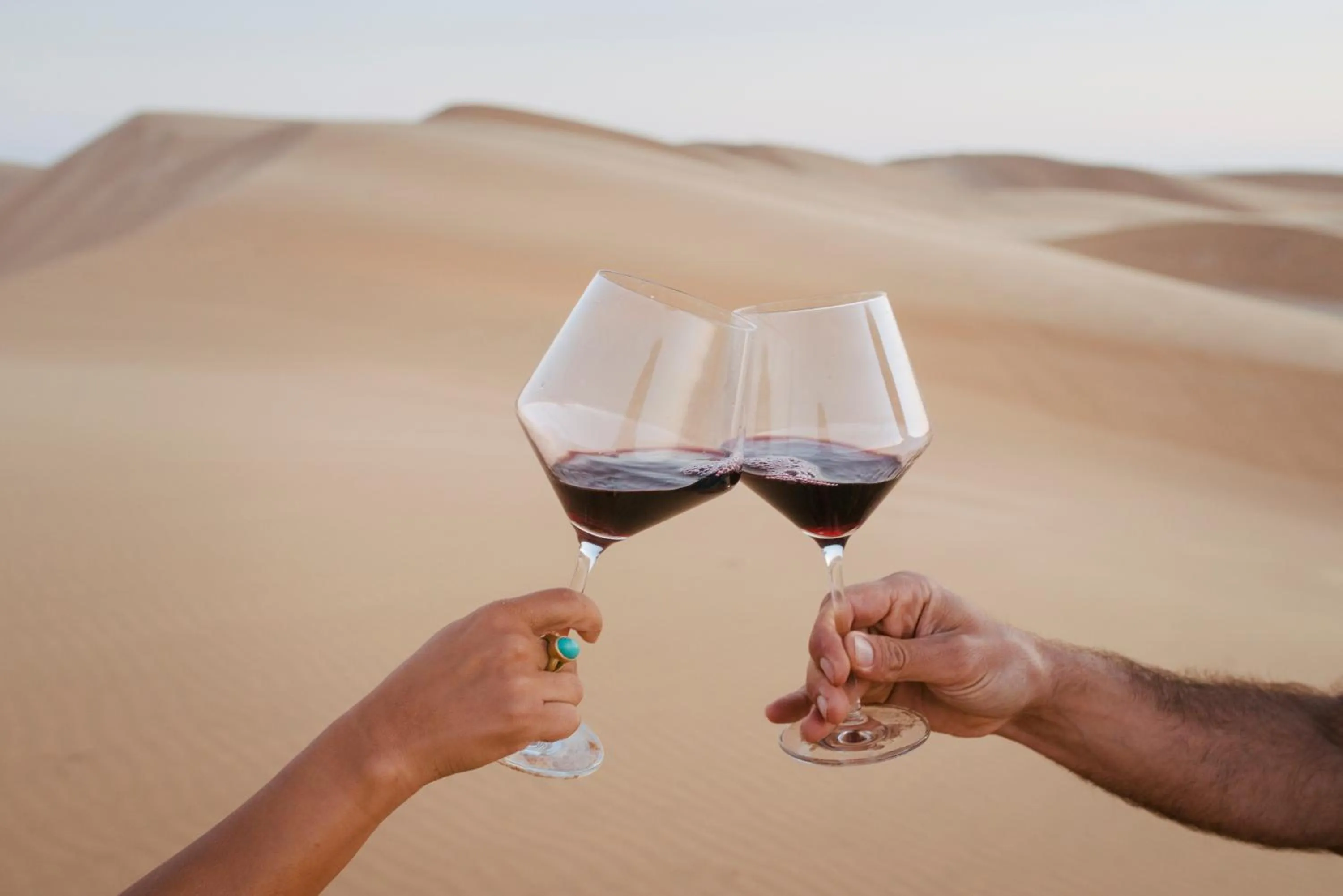 Lounge or bar in Salty Jackal Surf Camp