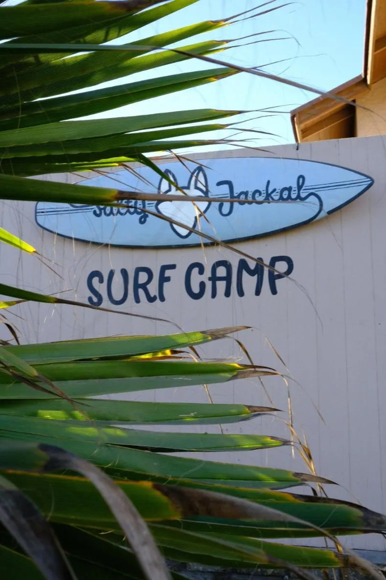Property building in Salty Jackal Surf Camp