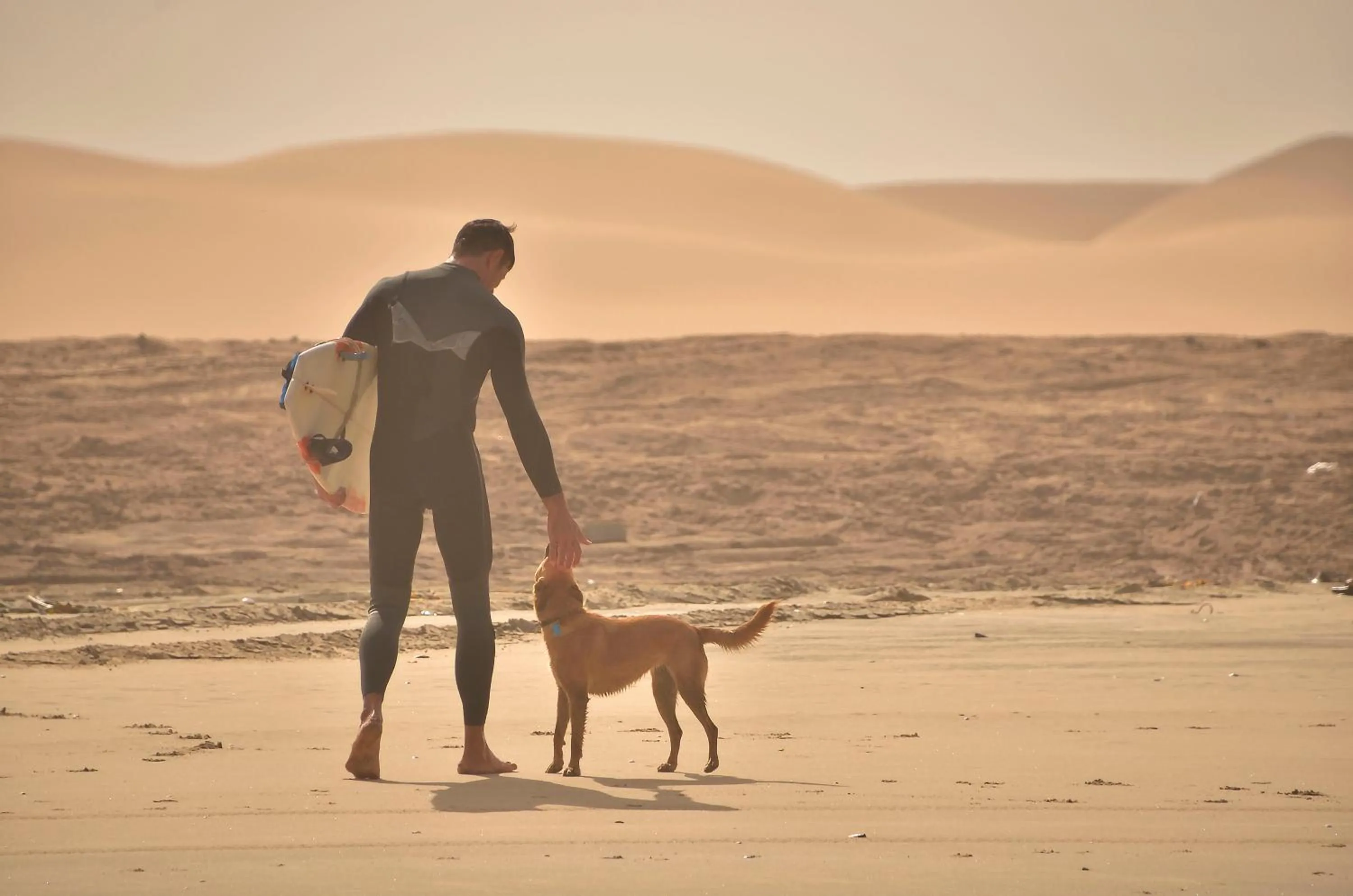 People in Salty Jackal Surf Camp