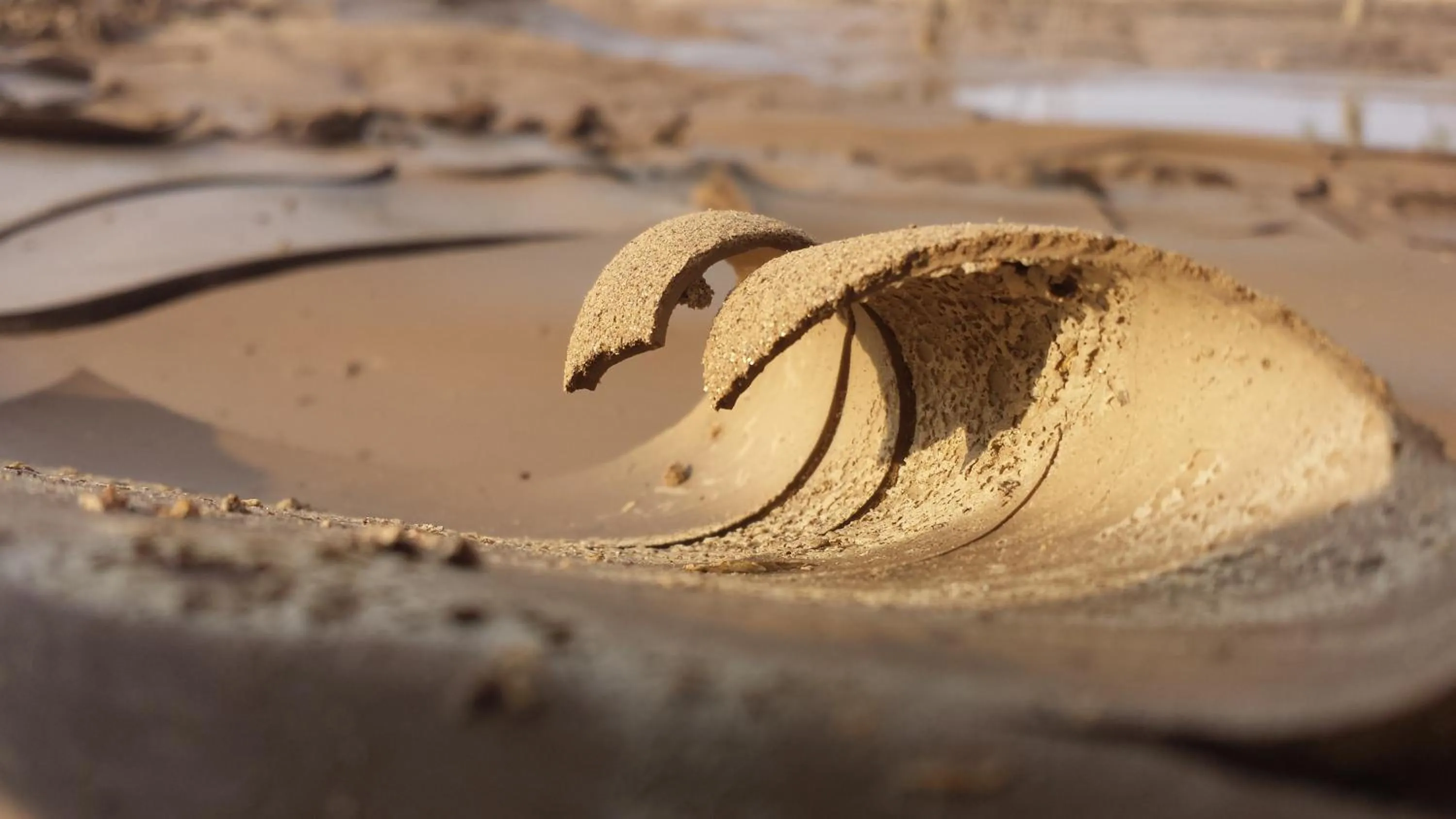 Beach in Salty Jackal Surf Camp