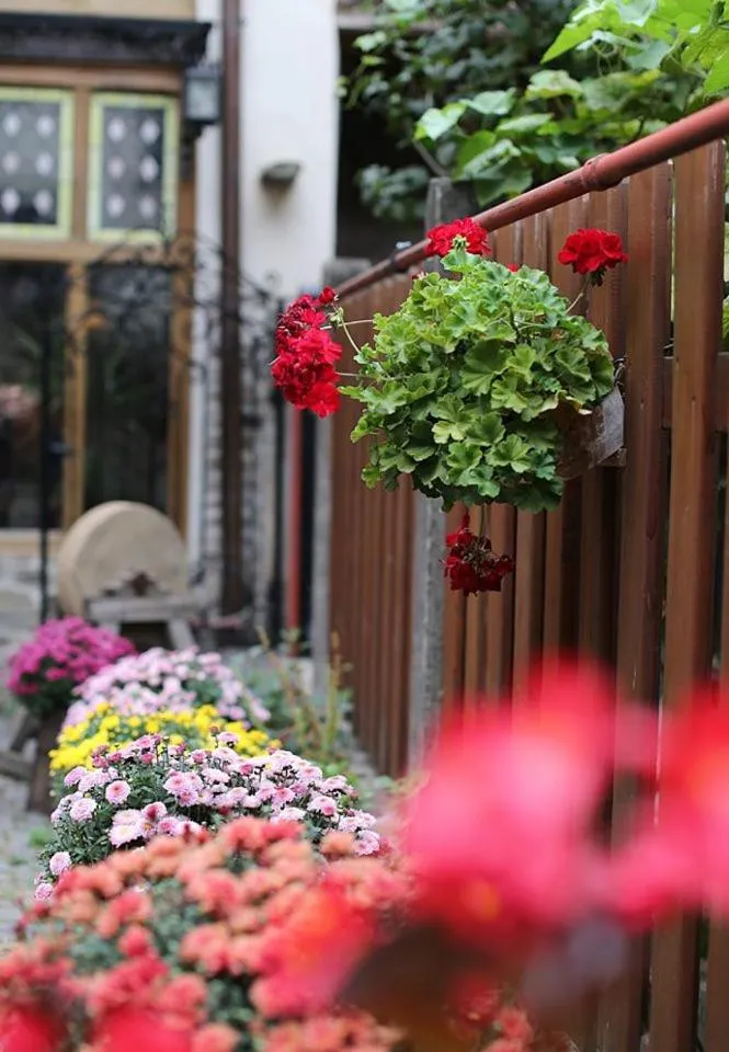 Garden in Fronius Boutique Residence