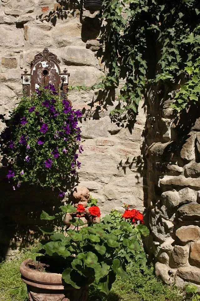 Garden in Fronius Boutique Residence