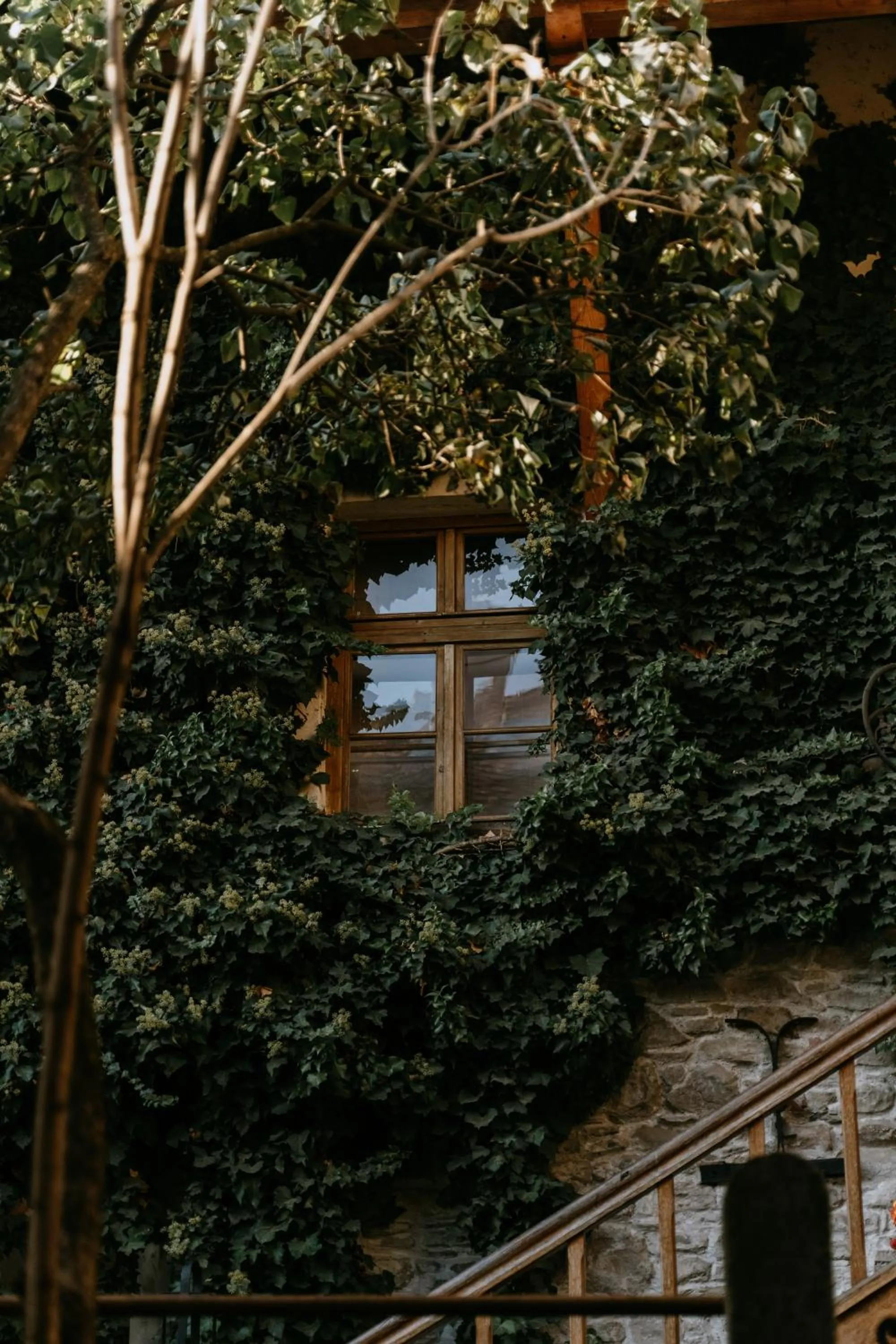 Fronius Boutique Residence