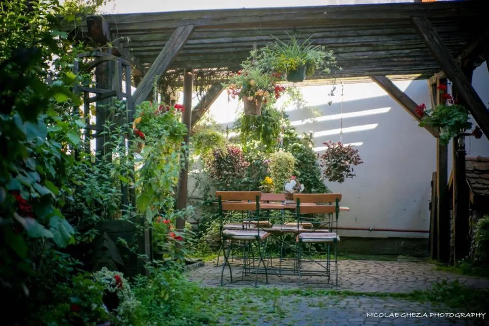 Garden in Fronius Boutique Residence