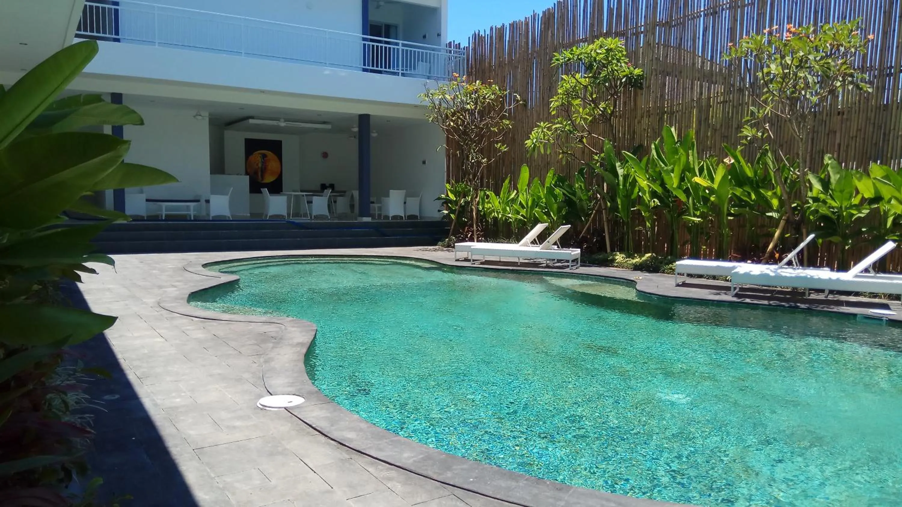 Swimming pool in The Bali Bubble