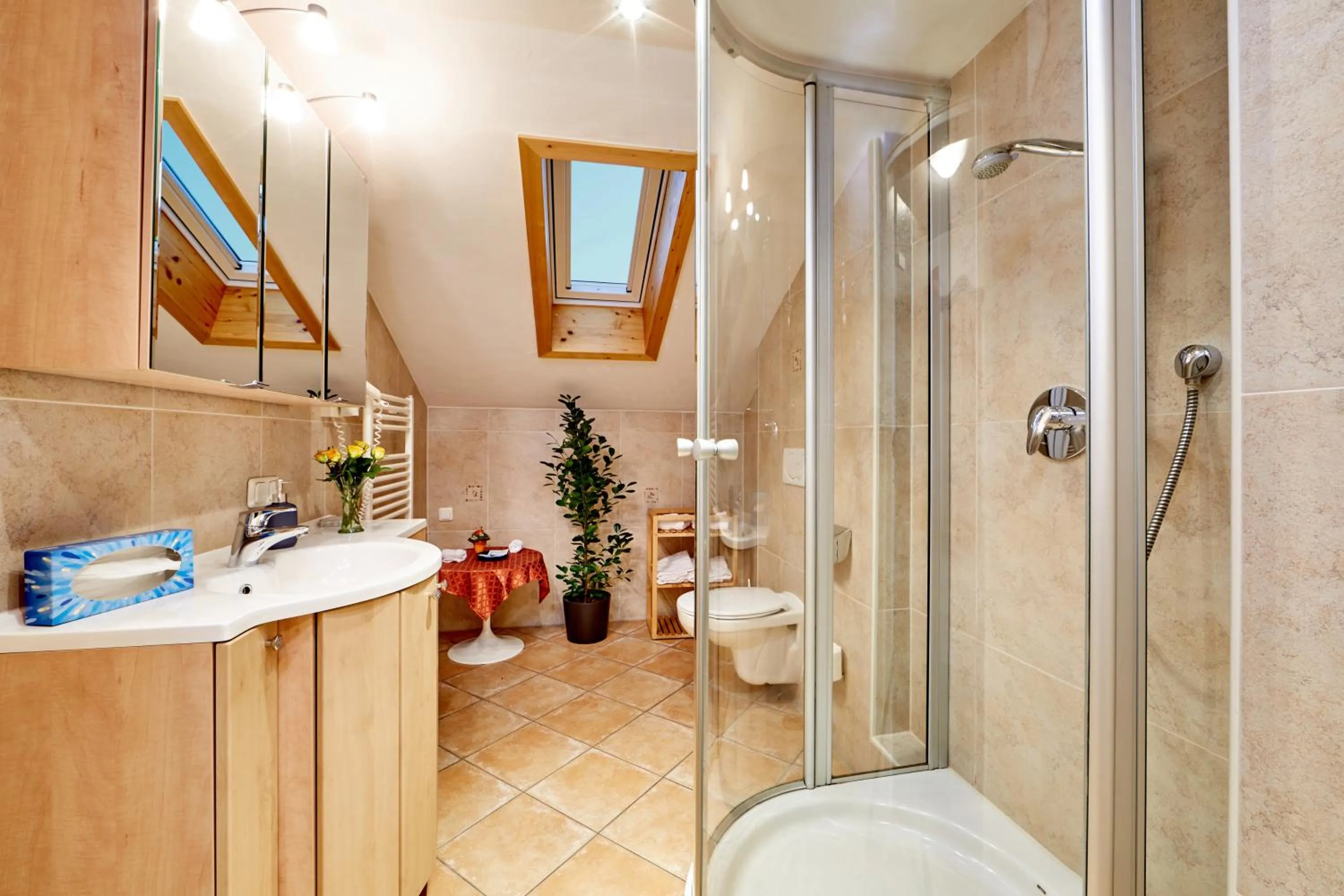 Bathroom in Hotel Franziska