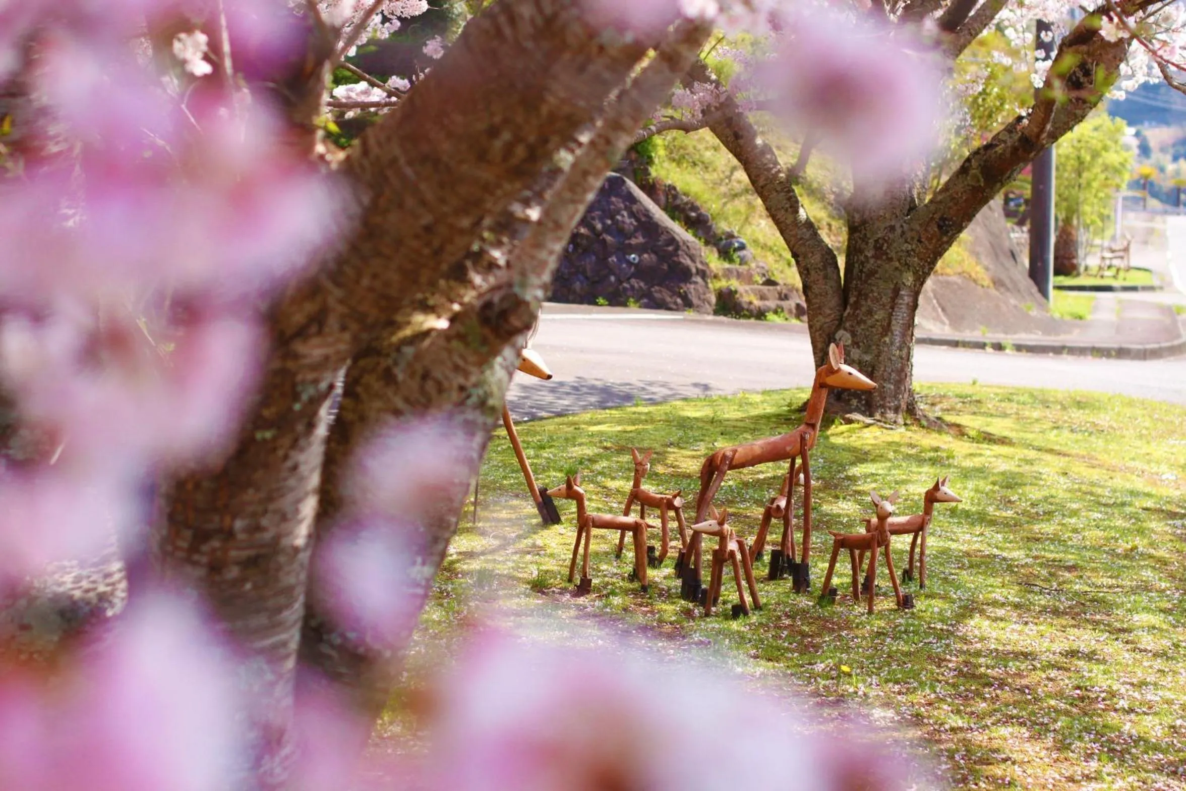 Area and facilities in Laforet Shuzenji Sanshisuimei