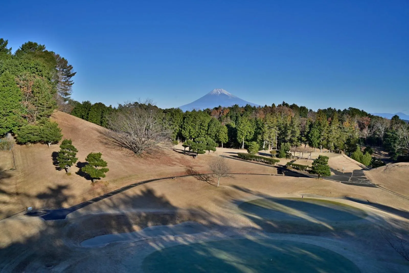 View (from property/room) in Laforet Shuzenji Sanshisuimei
