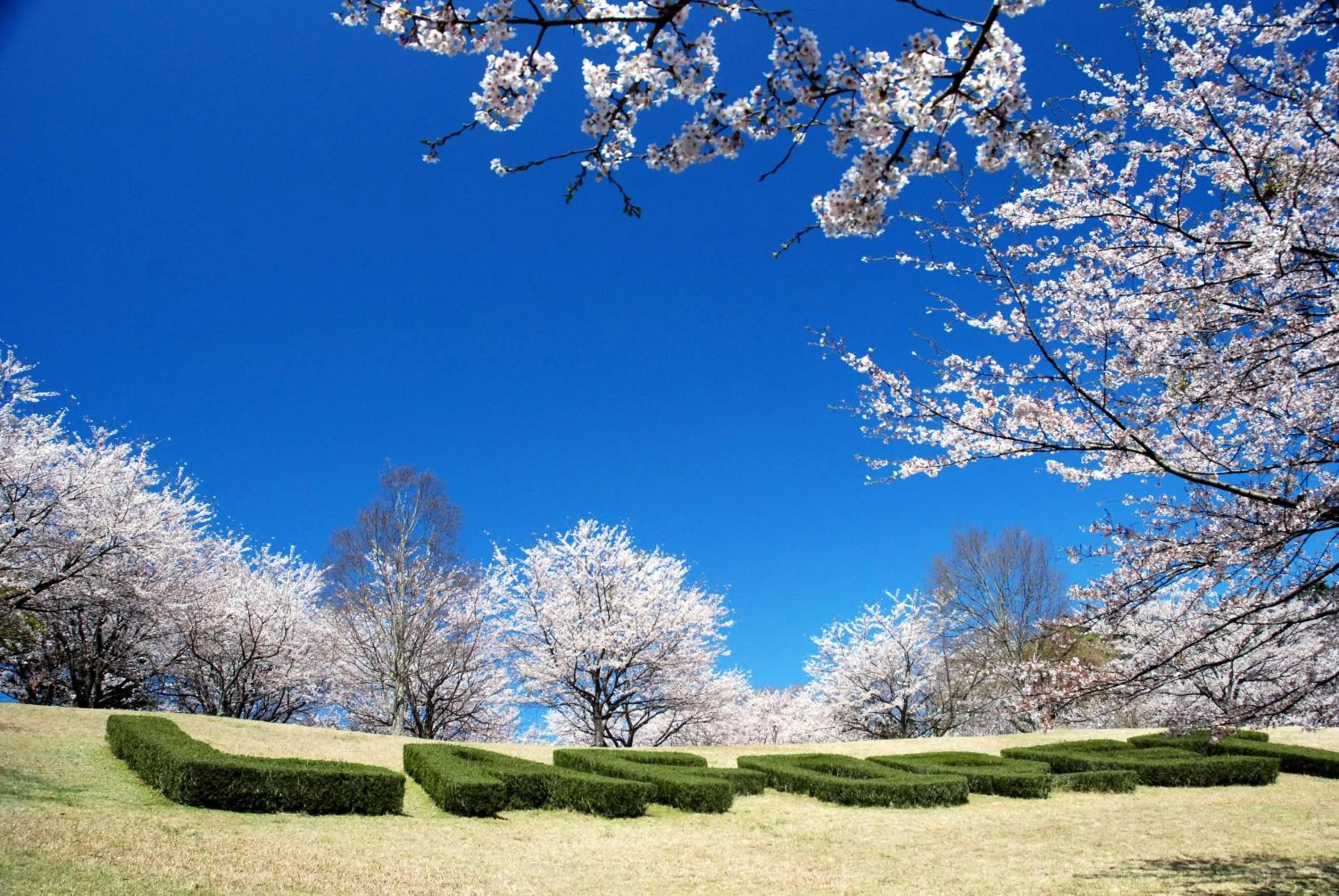 Facade/entrance in Laforet Shuzenji Sanshisuimei
