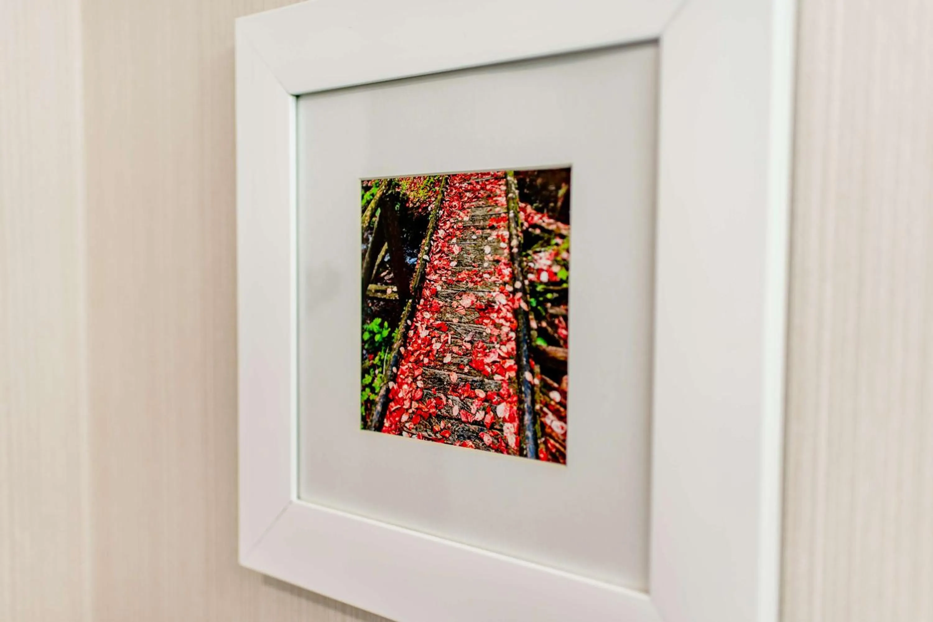 Bed in Hampton Inn Caryville-I-75/Cove Lake-State Park