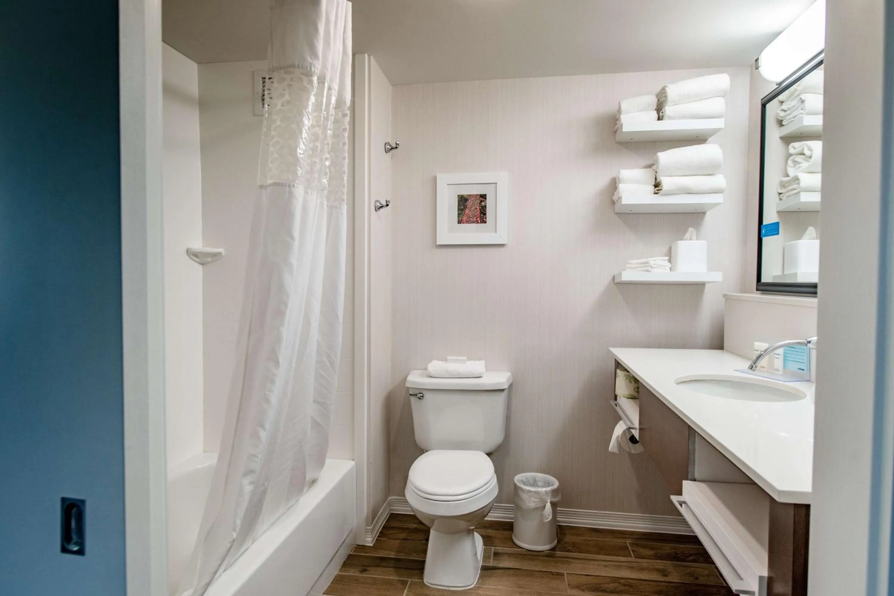 Bathroom in Hampton Inn Caryville-I-75/Cove Lake-State Park