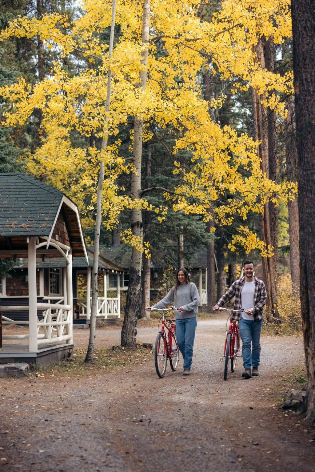 Cycling in Johnston Canyon Lodge & Bungalows