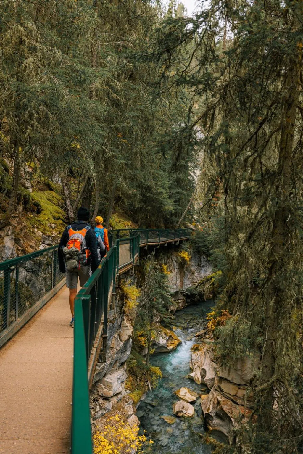 Hiking in Johnston Canyon Lodge & Bungalows