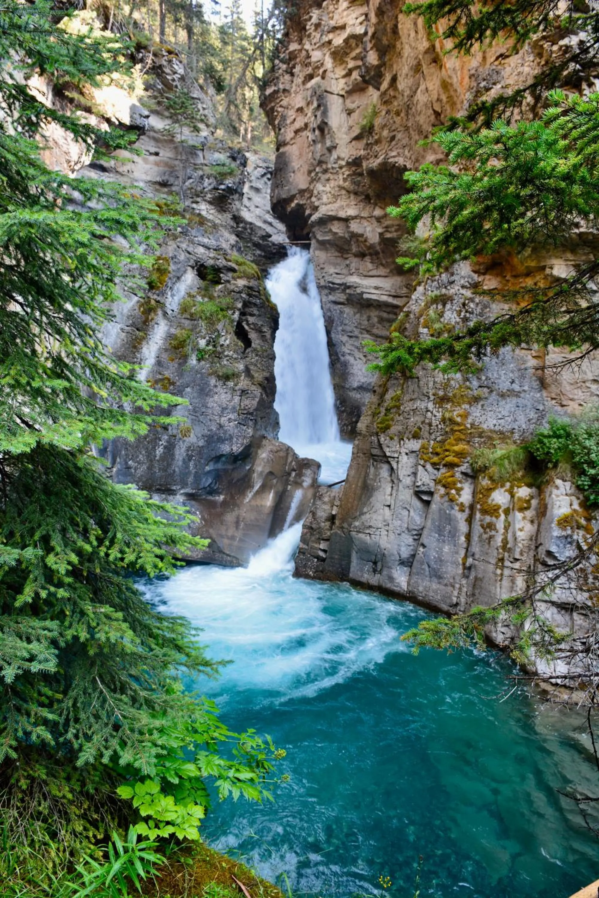 Natural landscape in Johnston Canyon Lodge & Bungalows
