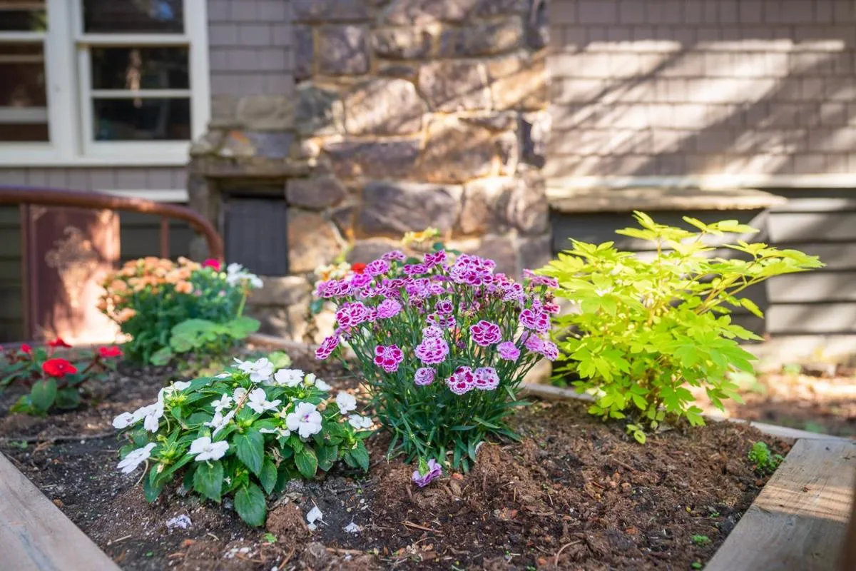Garden in Johnston Canyon Lodge & Bungalows