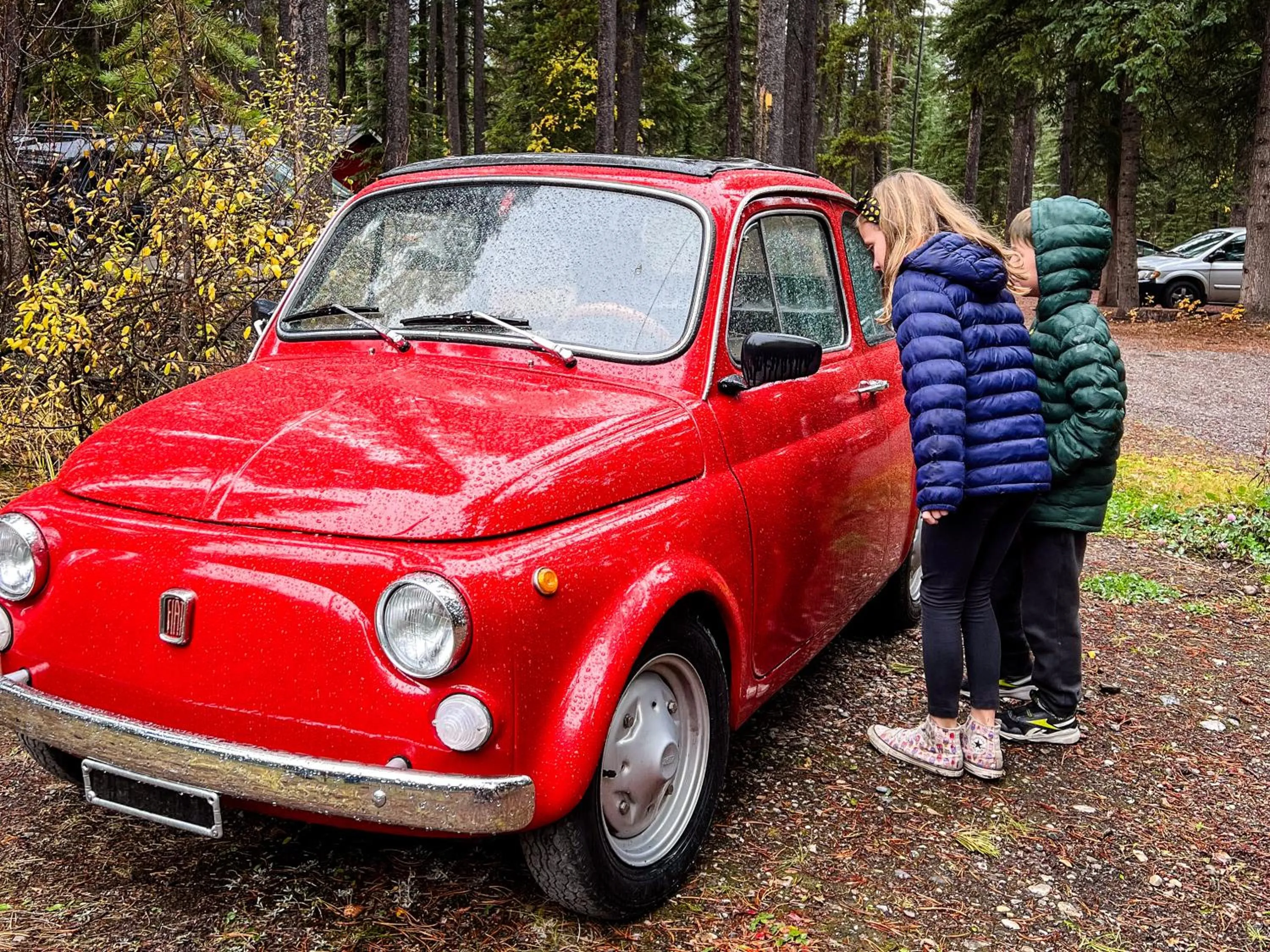Garden in Johnston Canyon Lodge & Bungalows