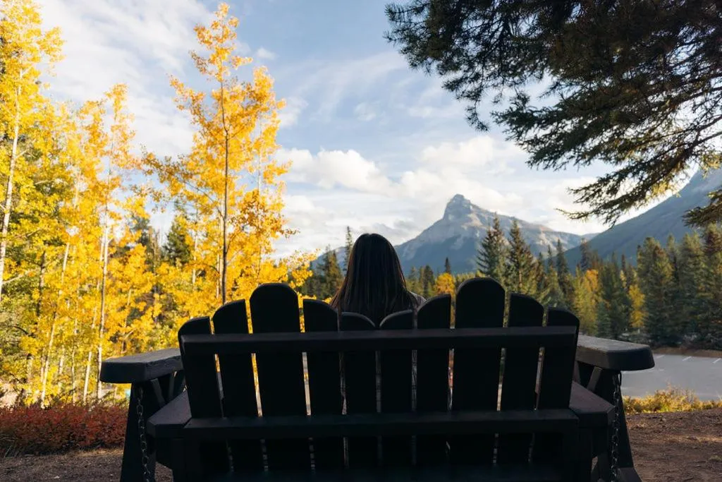 View (from property/room) in Johnston Canyon Lodge & Bungalows