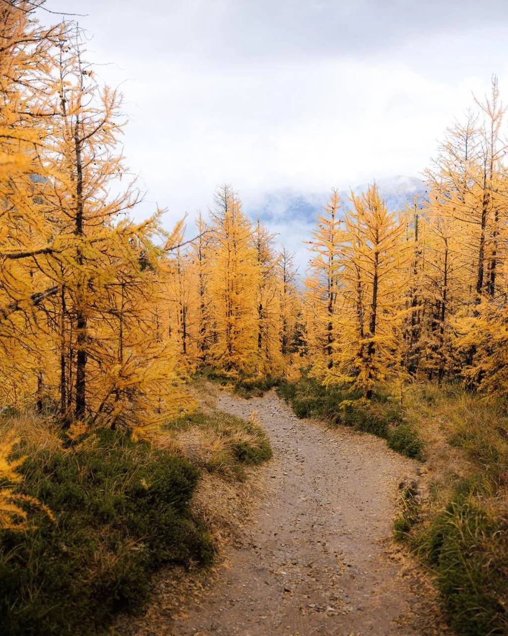 Hiking in Johnston Canyon Lodge & Bungalows