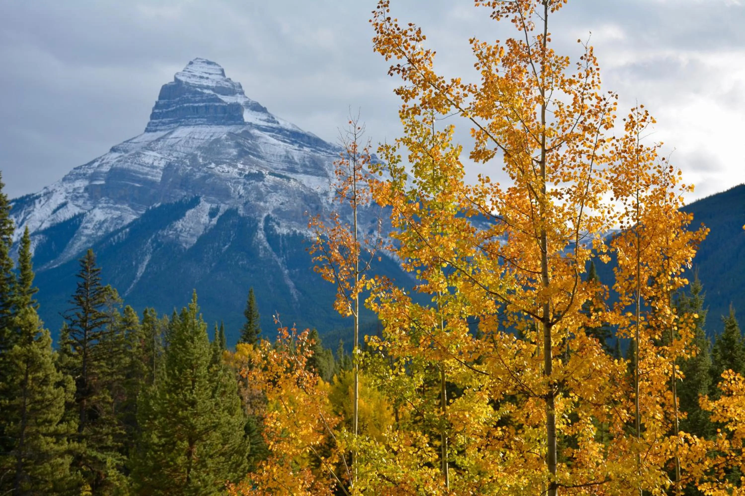 View (from property/room) in Johnston Canyon Lodge & Bungalows