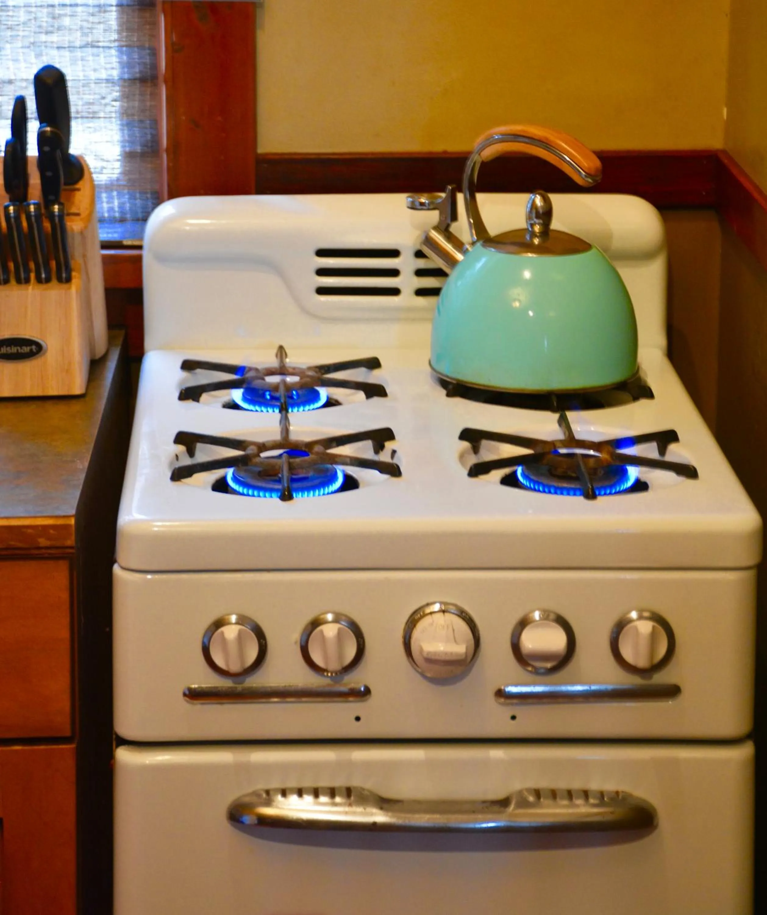 Kitchen or kitchenette in Johnston Canyon Lodge & Bungalows
