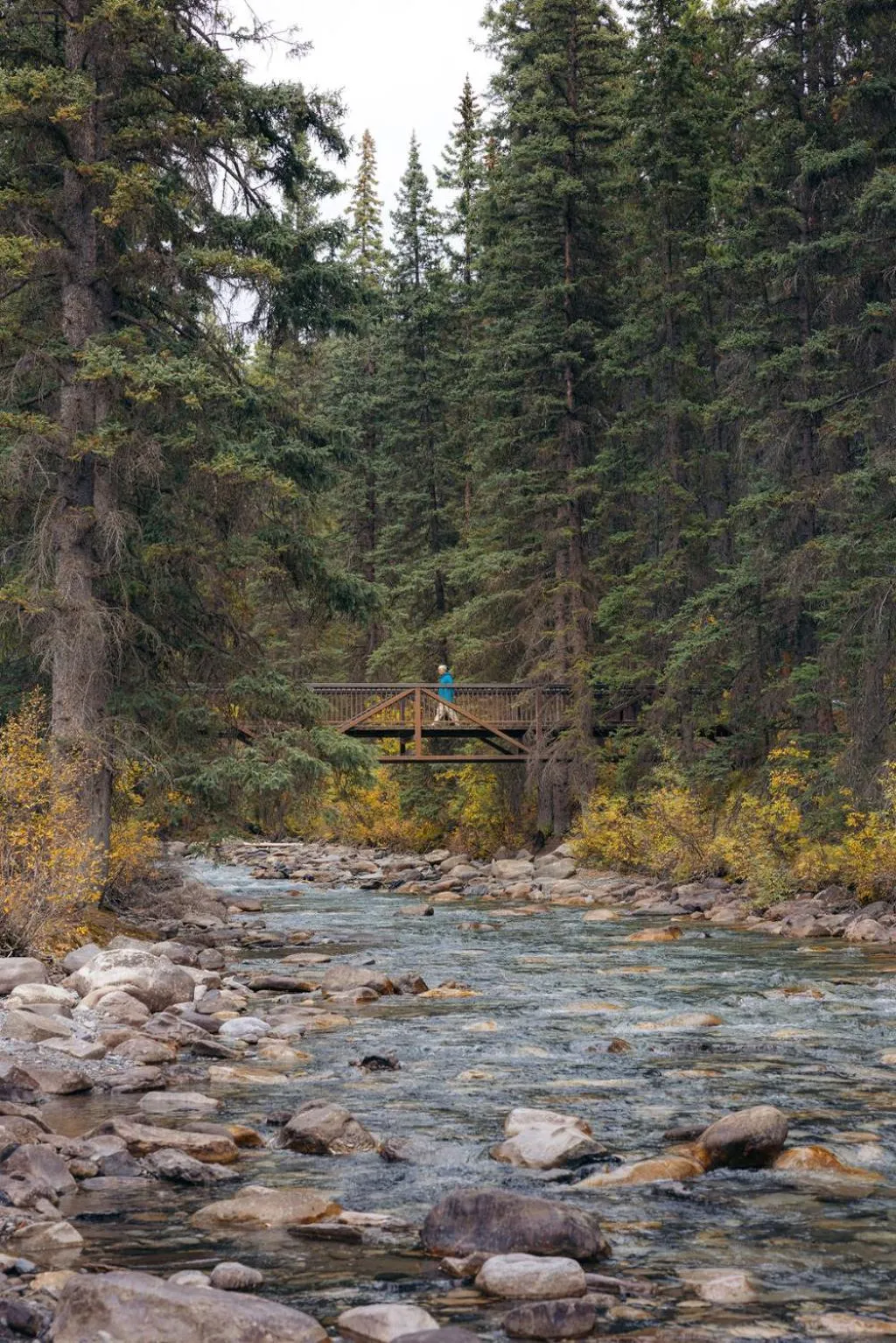 Hiking in Johnston Canyon Lodge & Bungalows