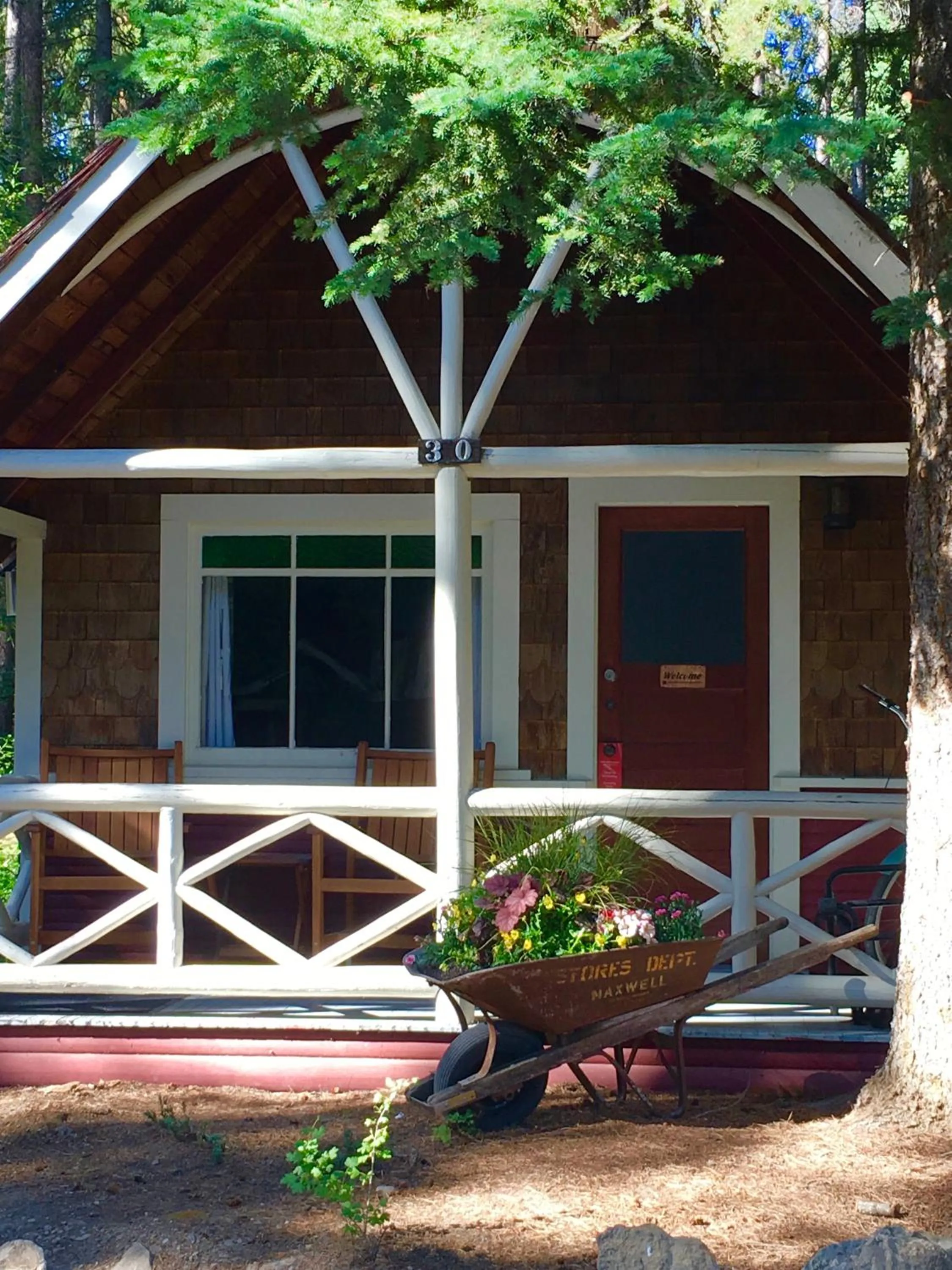 Patio in Johnston Canyon Lodge & Bungalows