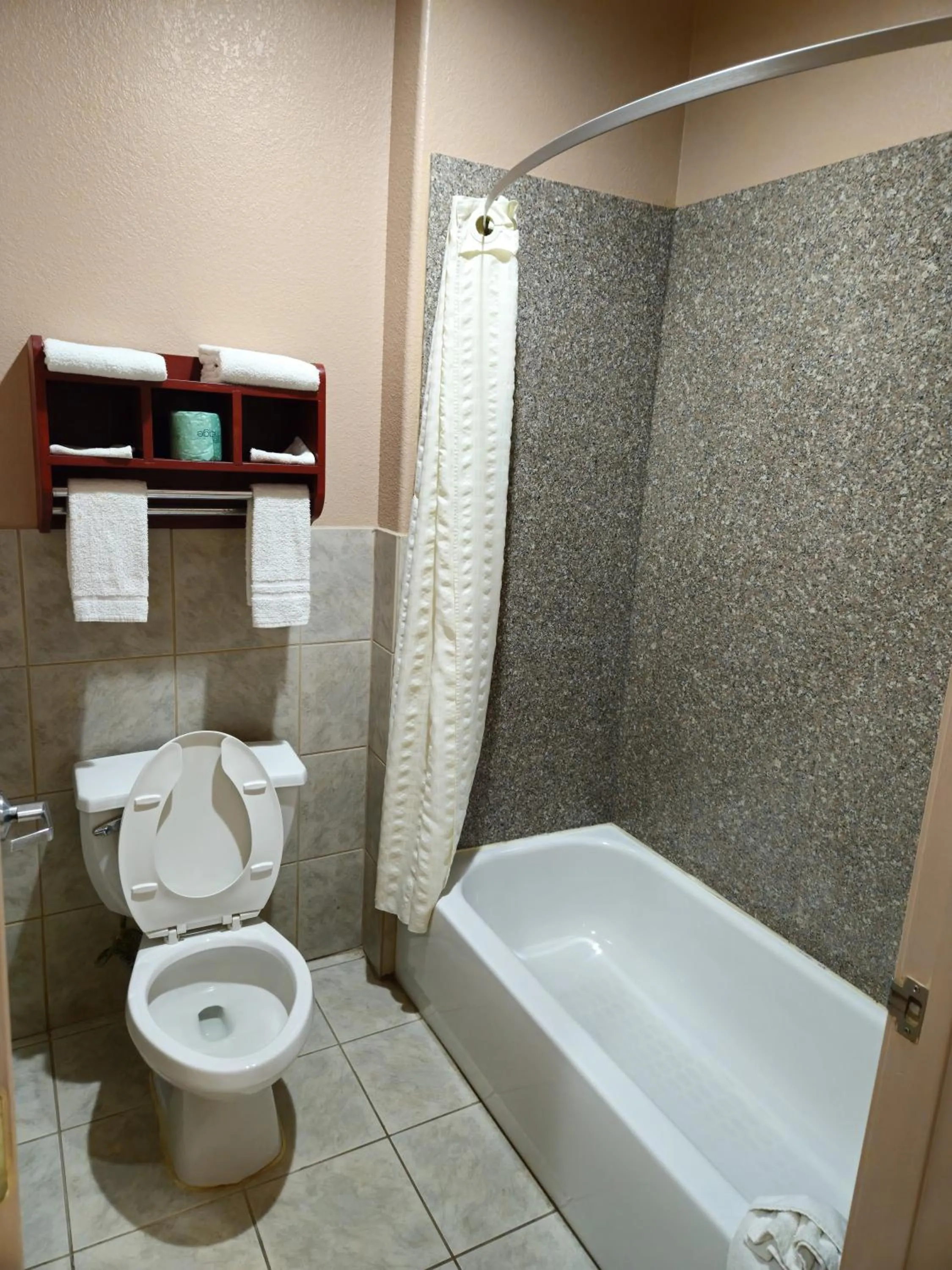 Bathroom in Budgetel Inn and Suites