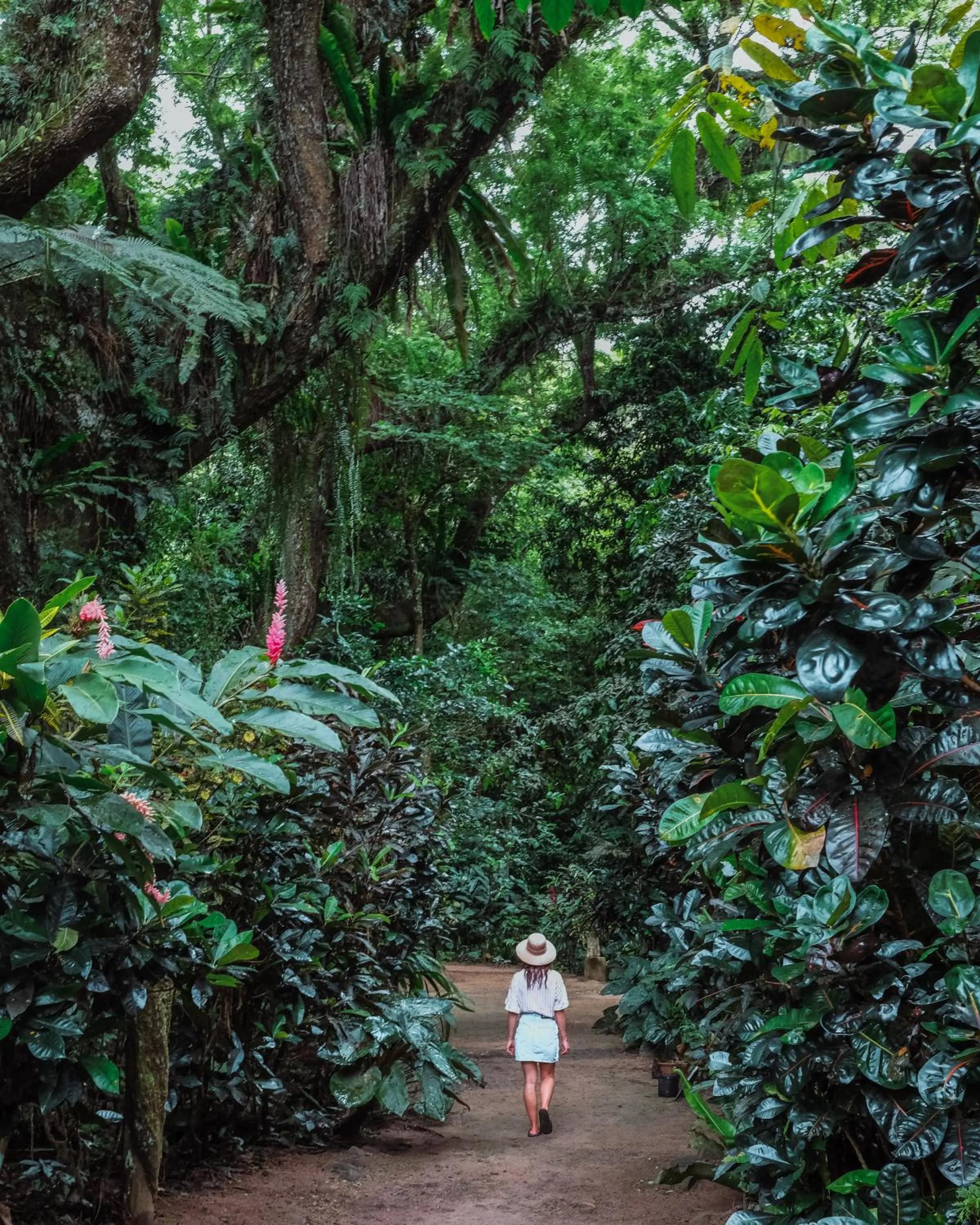 Koro Sun Resort & Rainforest Spa