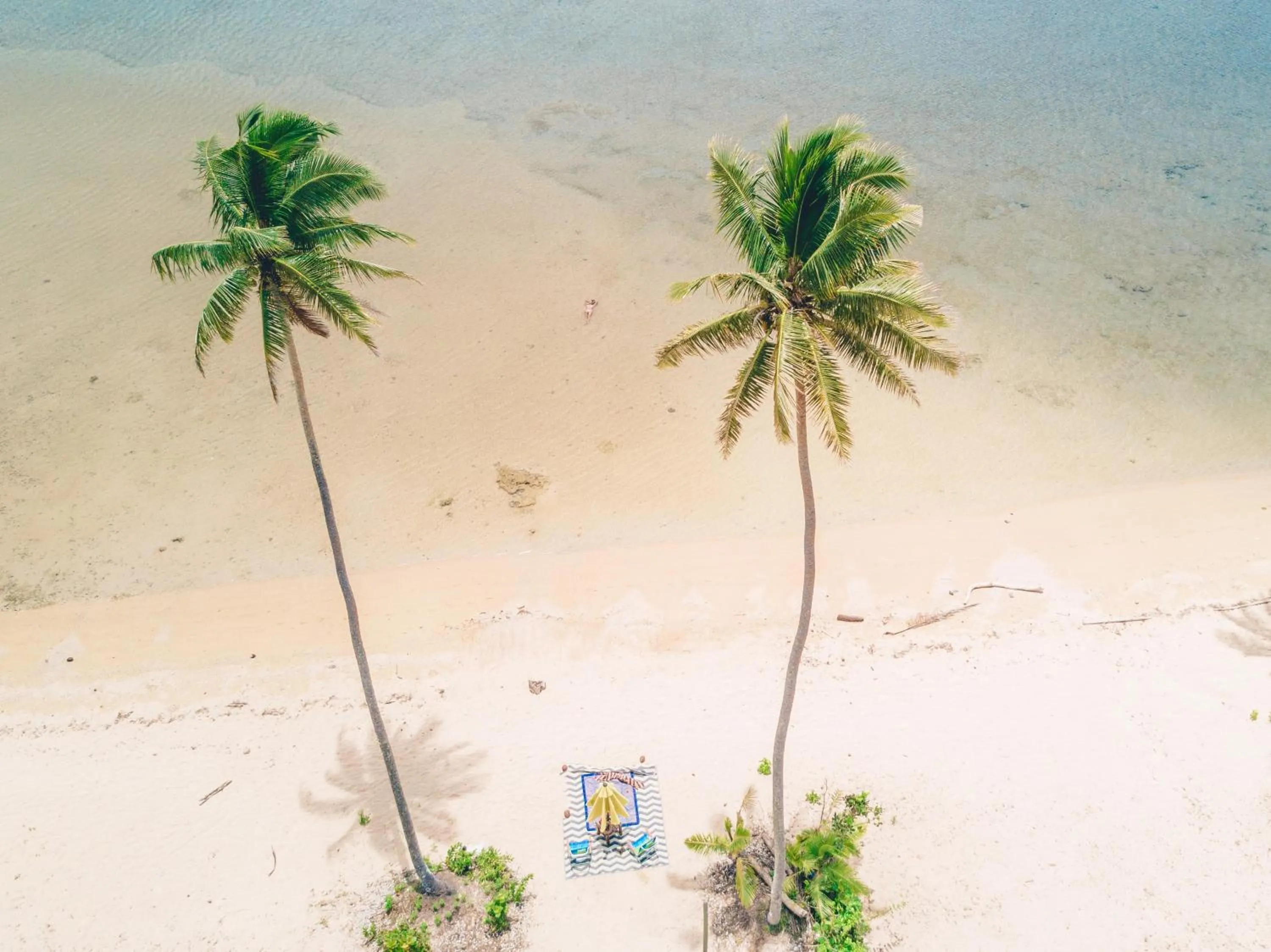 Koro Sun Resort & Rainforest Spa