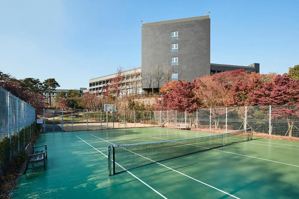 Sports in Rolling Hills Hotel