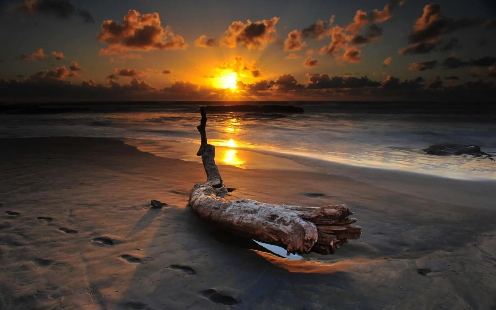 Beach in Seagulls Garden Cabanas