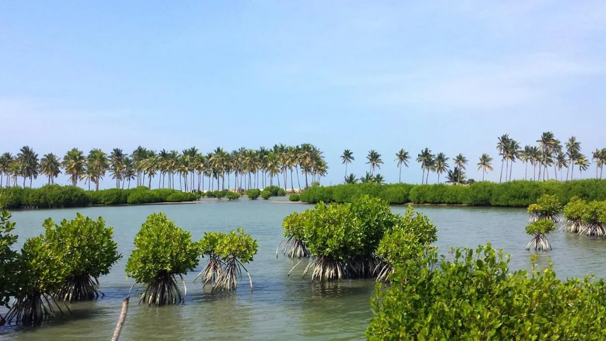 Seagulls Garden Cabanas