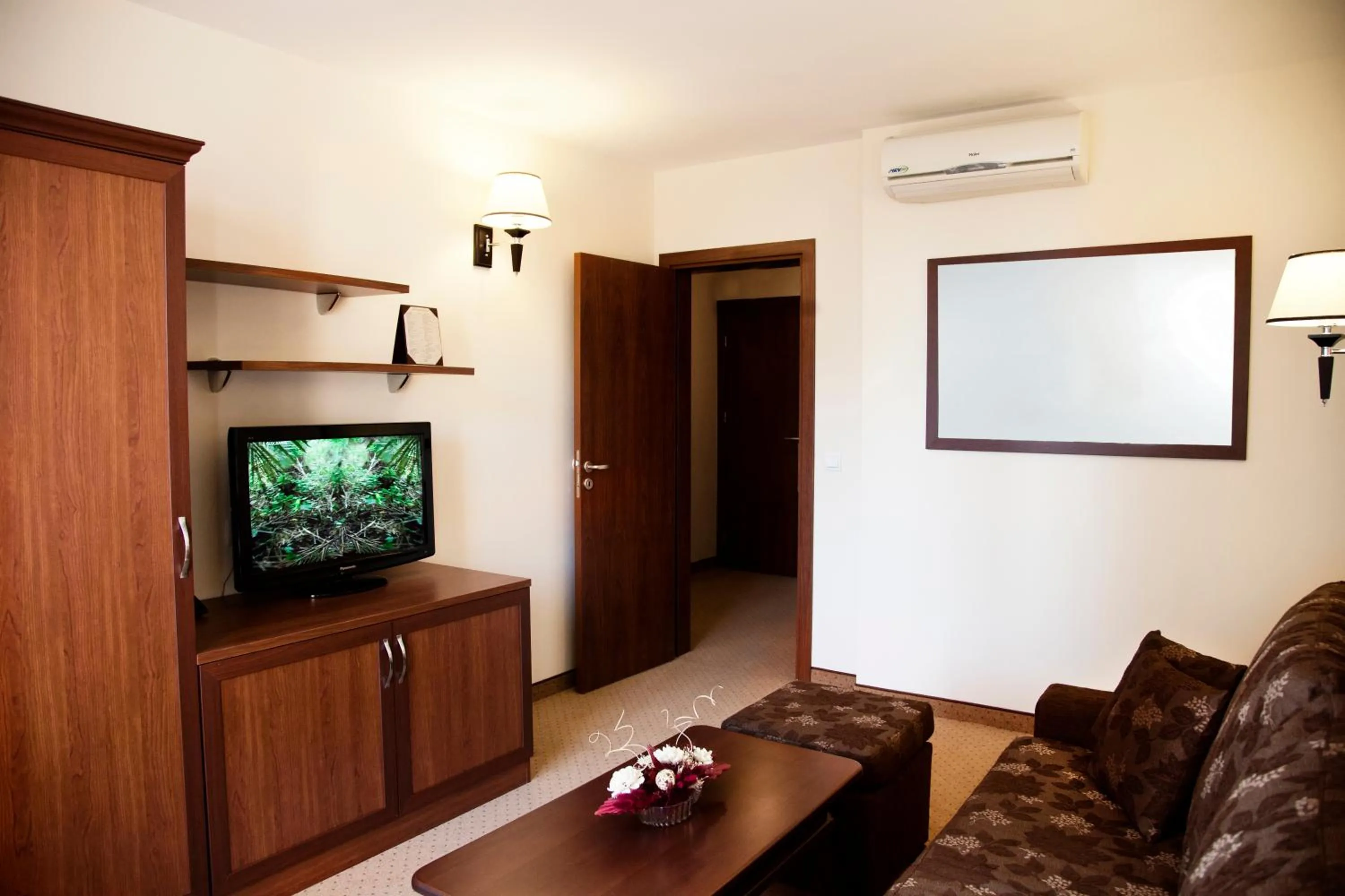 TV and multimedia in Favorit Hotel