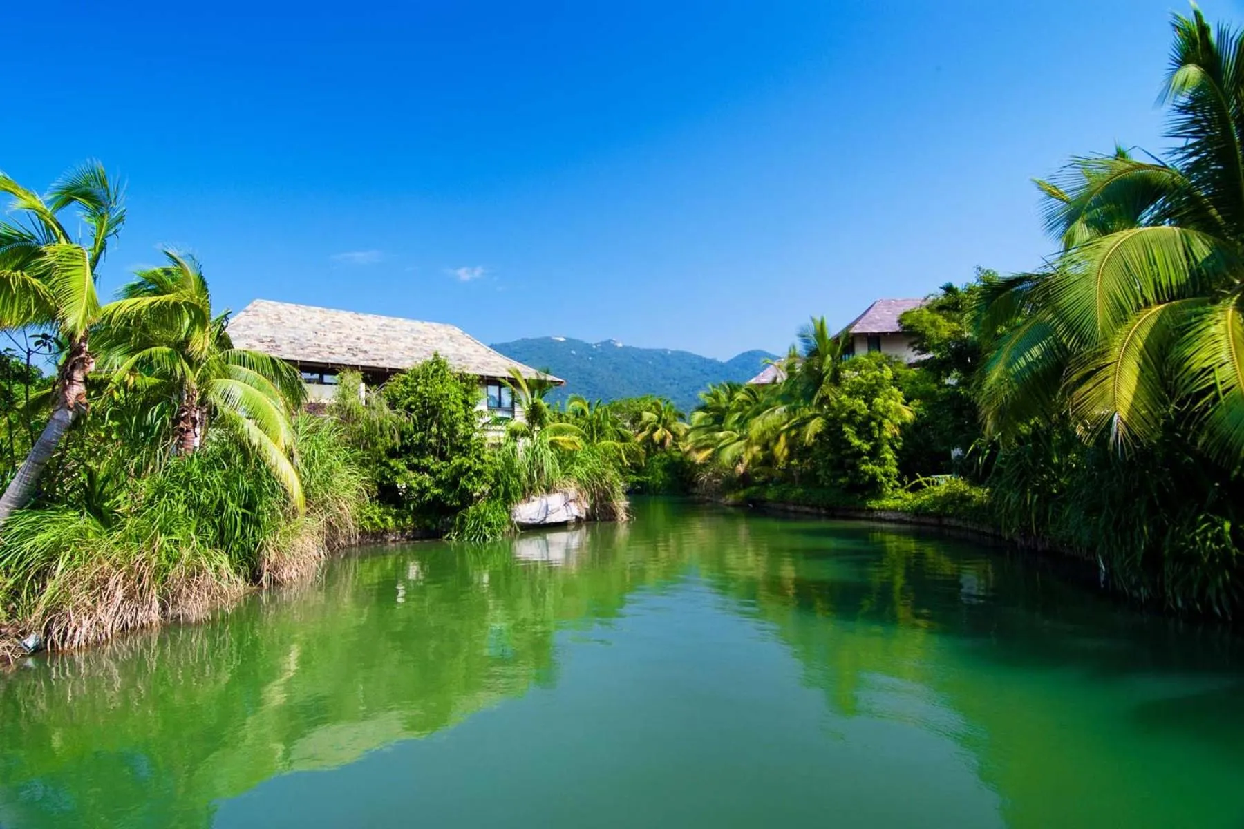 Natural landscape in Sanya Yalong Bay Villas & Spa