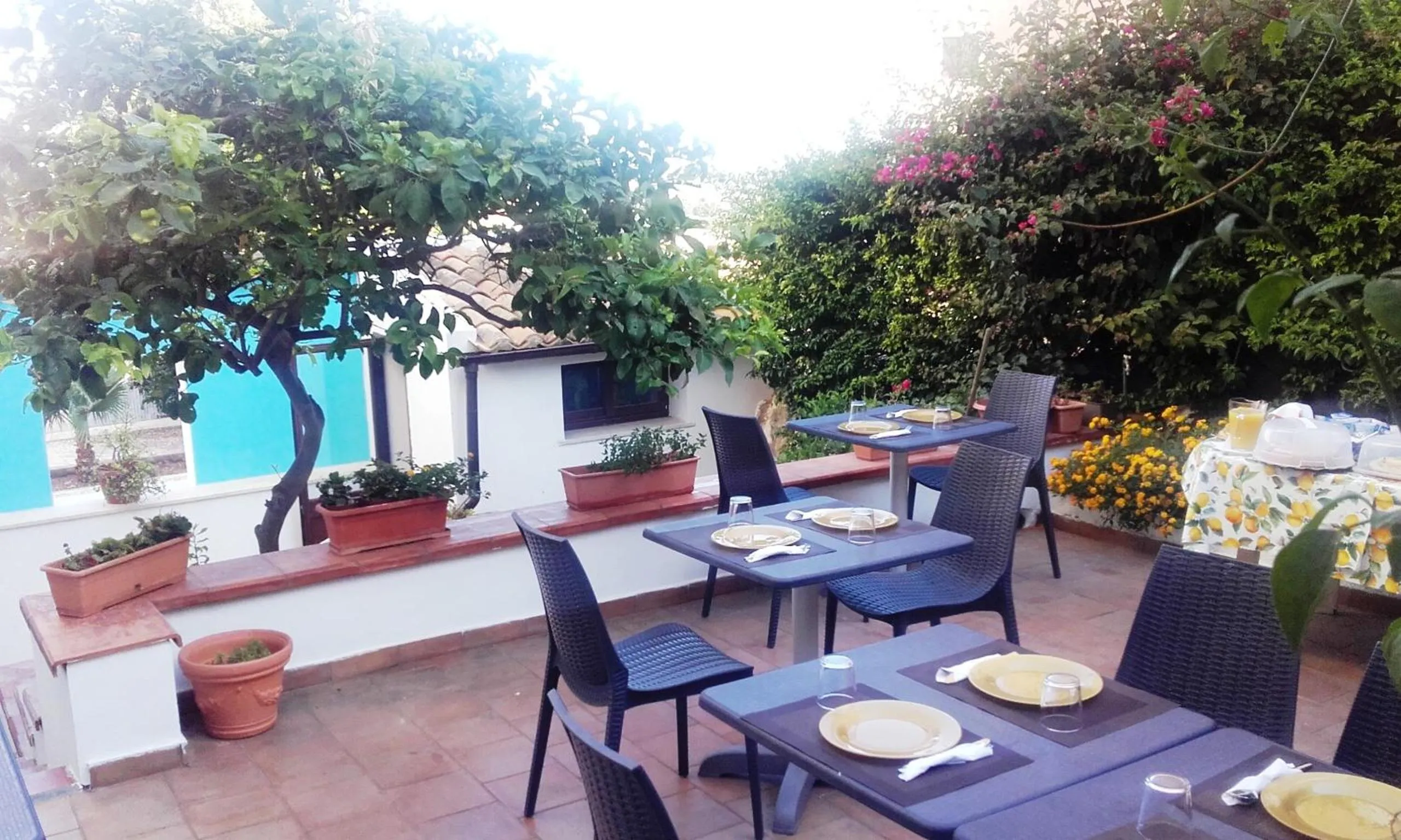 Garden in B&B Cafisu