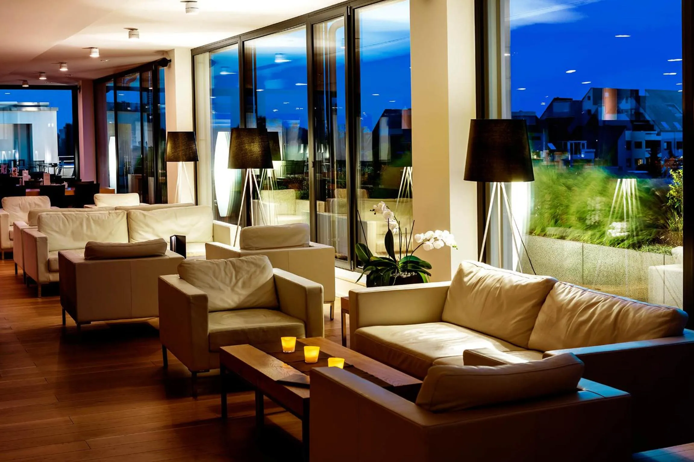 Lounge or bar in Midori - The Green Guesthouse