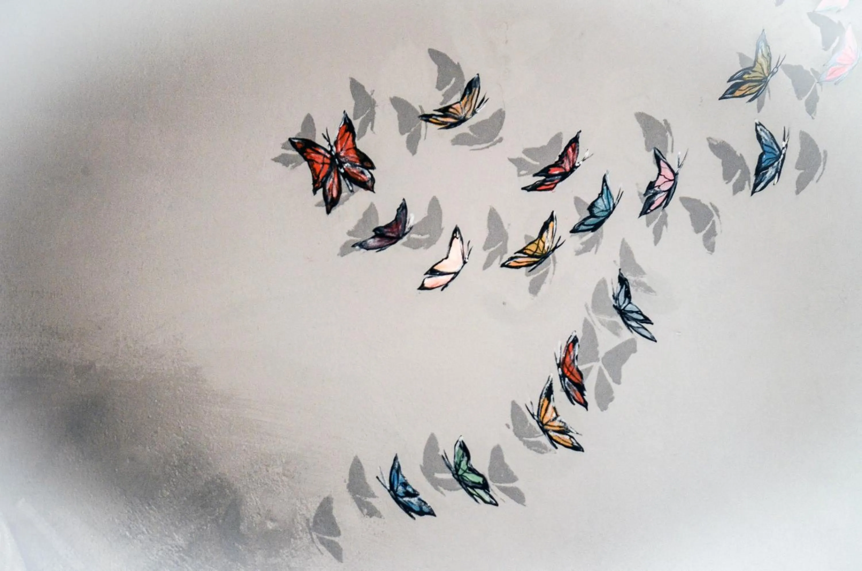 Decorative detail in Racconti di Mare - 5 Terre JRE