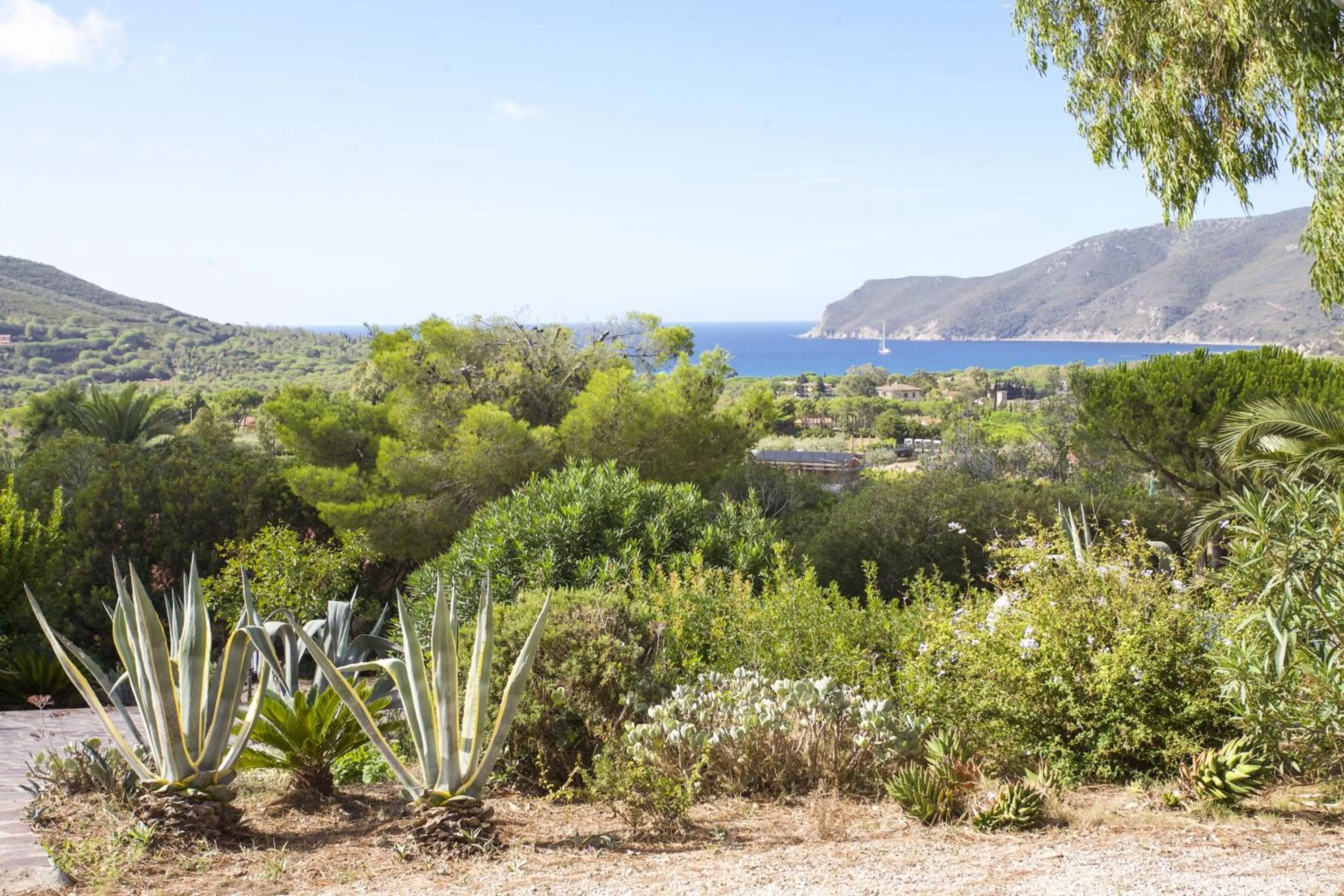Sea view in Villino Lacona