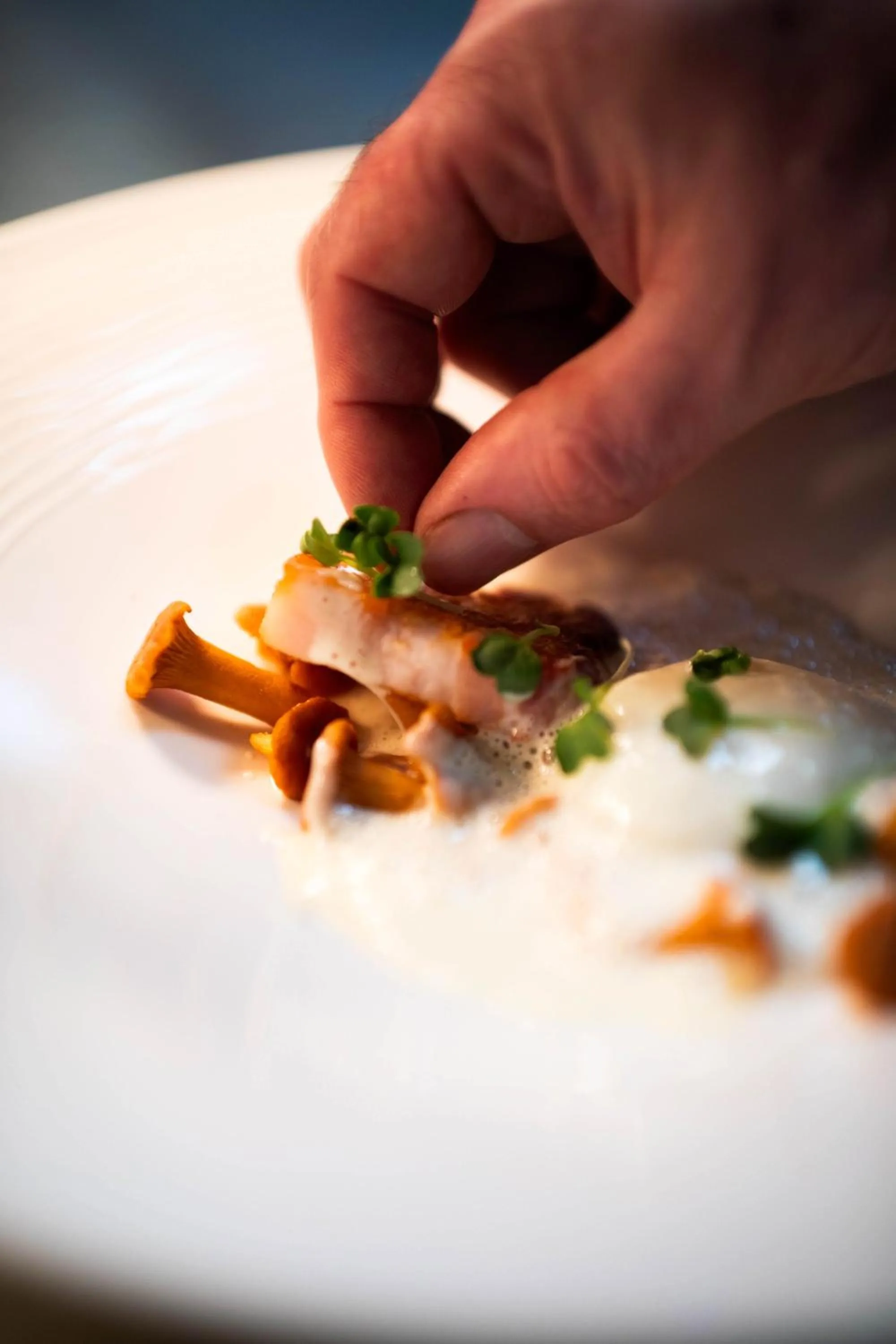 Restaurant/places to eat in Hôtel Five Nations