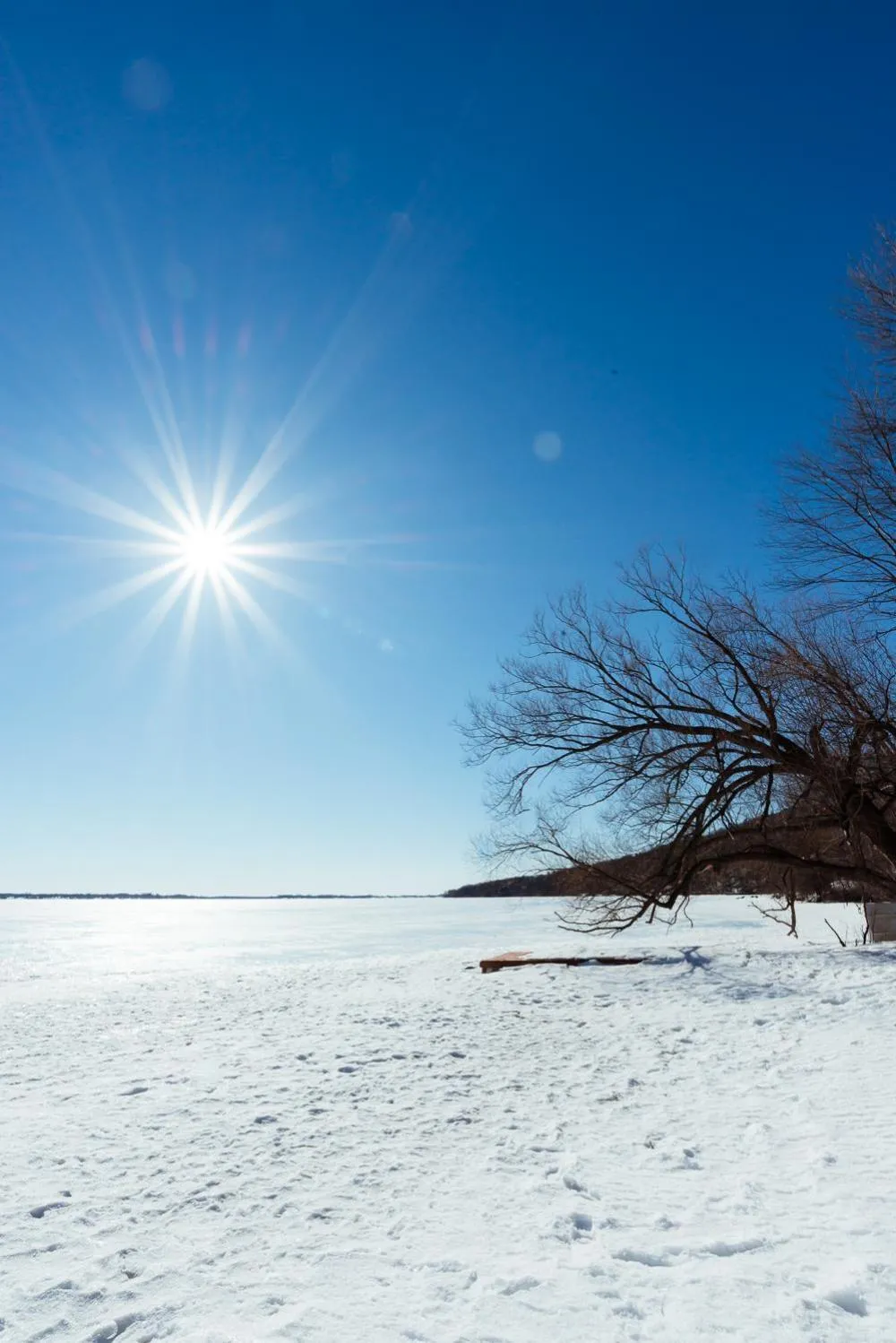 Maison sur la plage TERRE-MÈRE