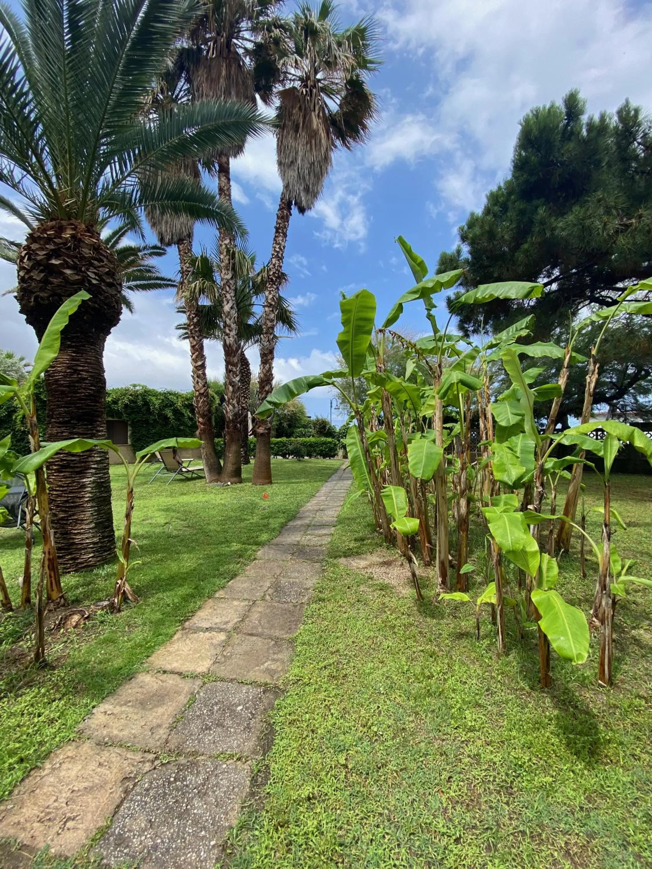 Garden in Villa Giada