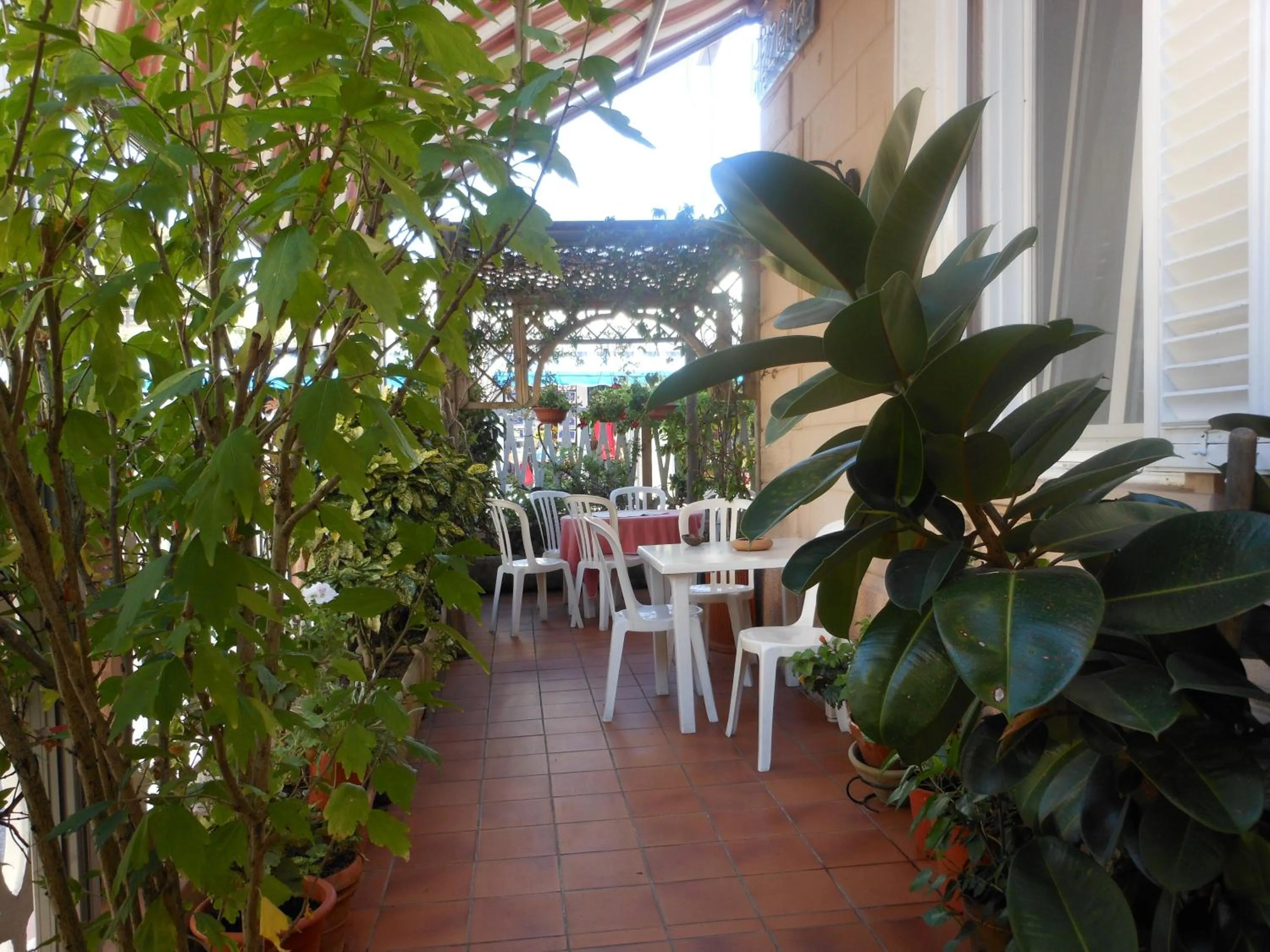 Dining area in Hotel Fiammetta