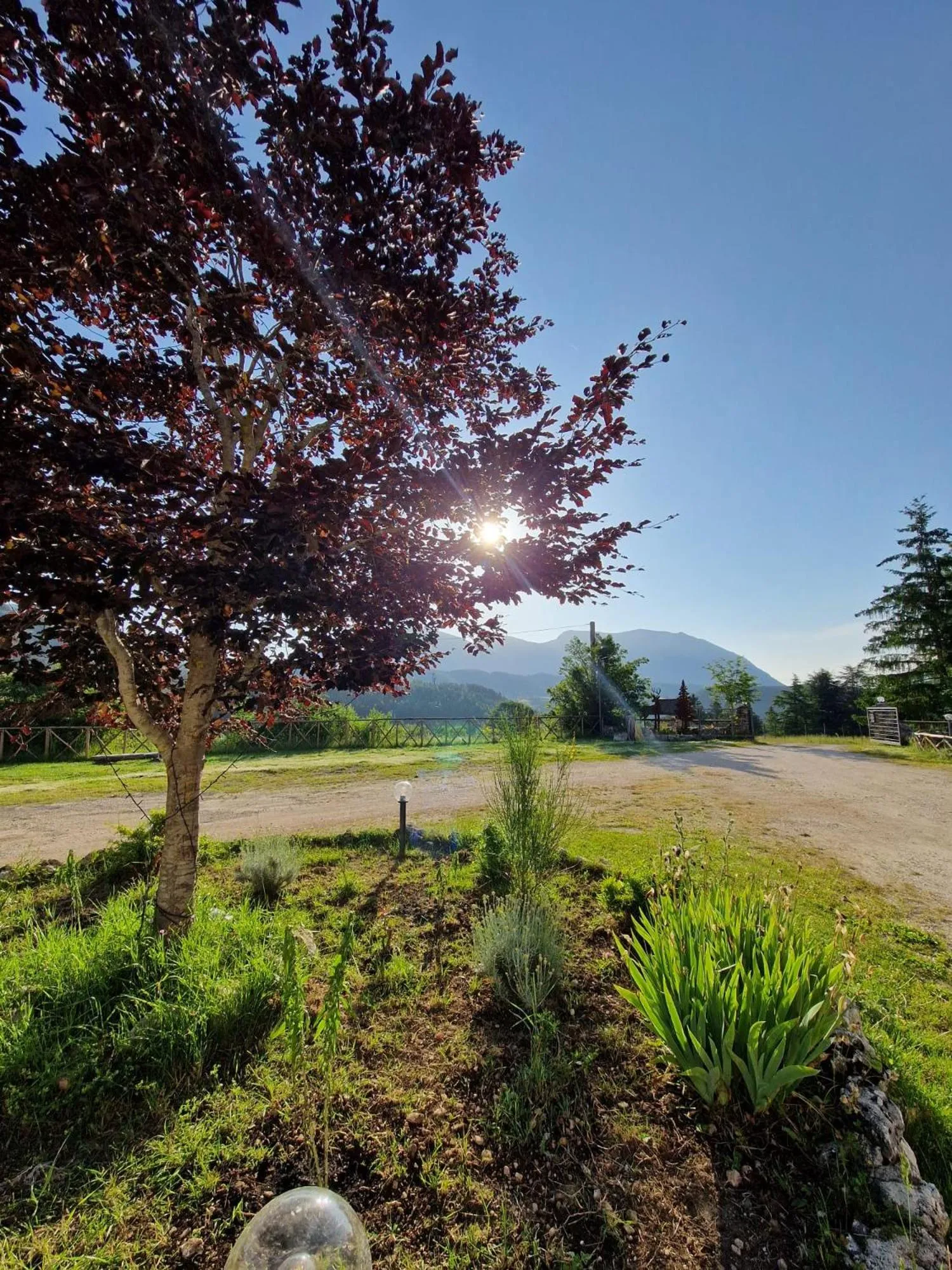 Natural landscape in Hotel Faggio Rosso