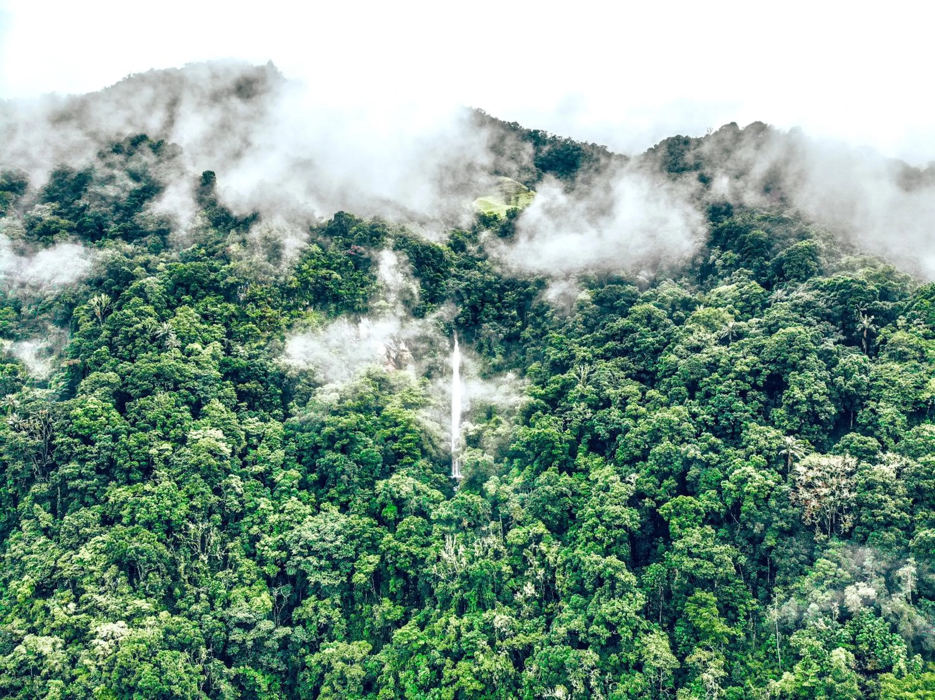 Natural landscape in Glamping Lumbre
