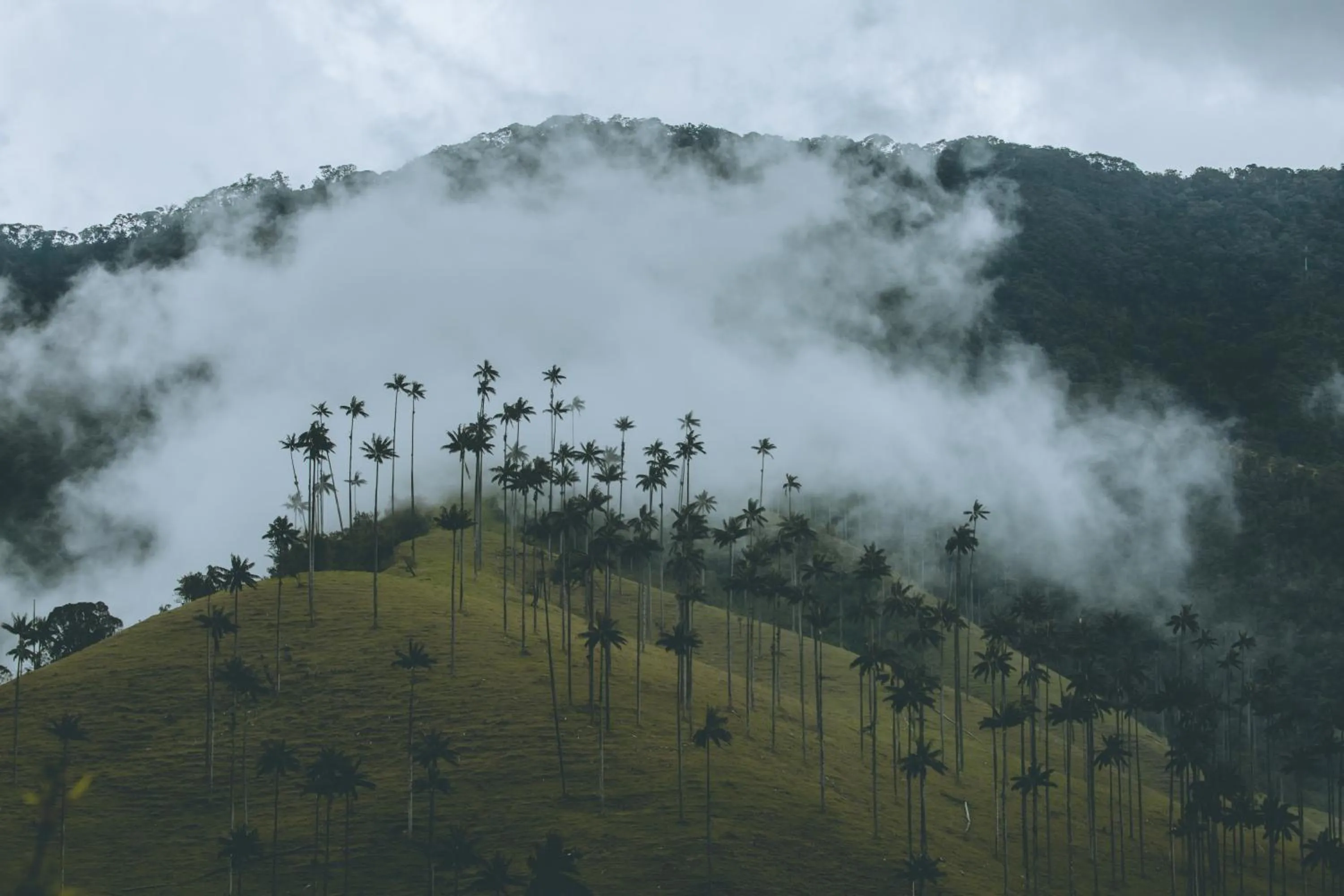 Natural landscape in Glamping Lumbre