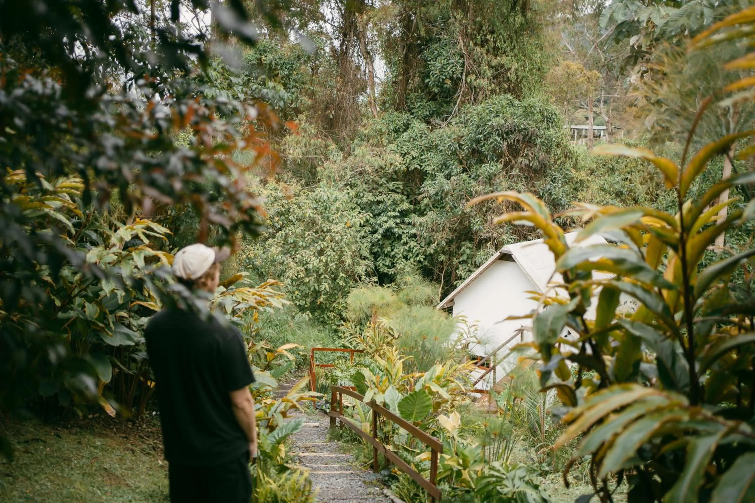 Natural landscape in Glamping Lumbre